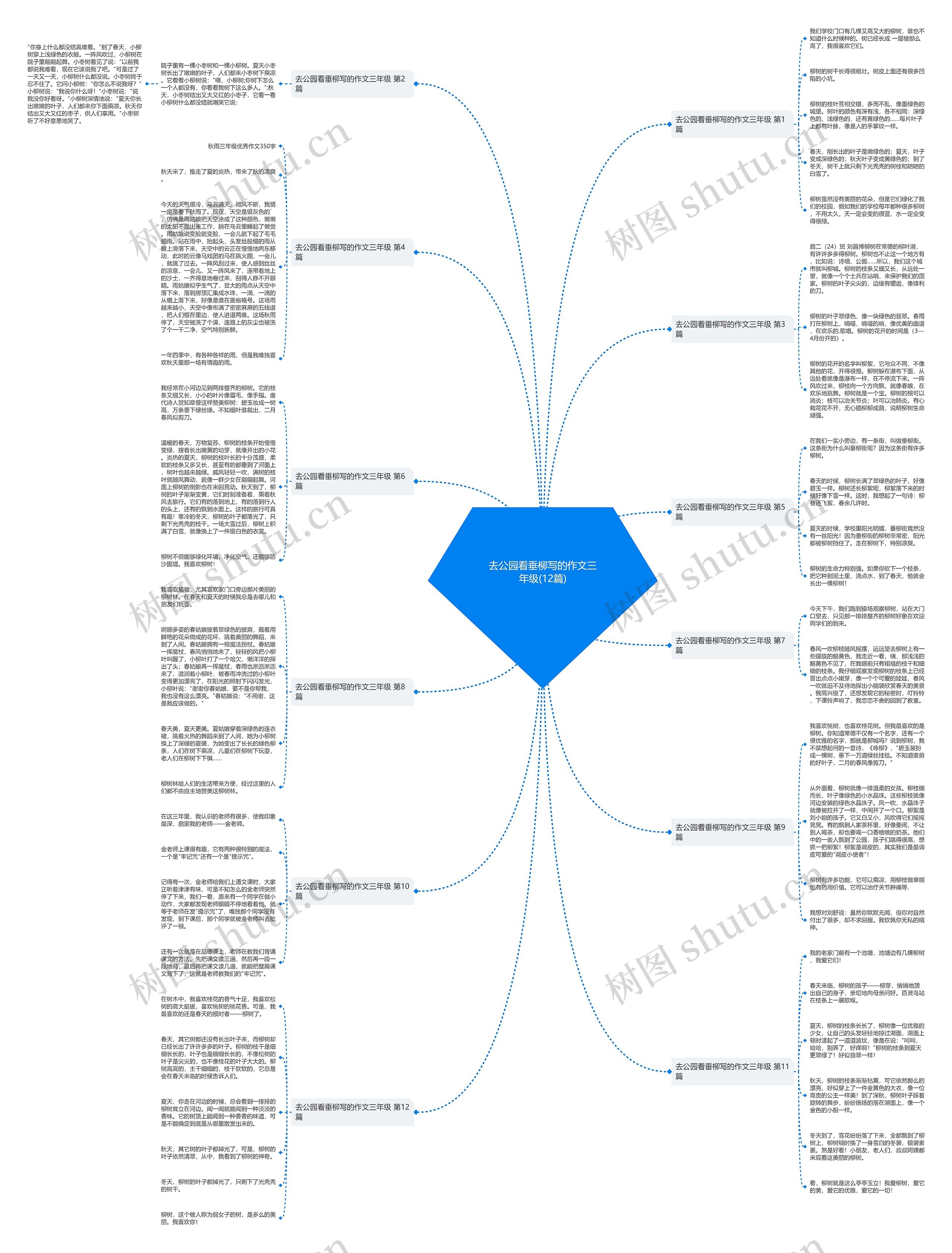 去公园看垂柳写的作文三年级(12篇)思维导图