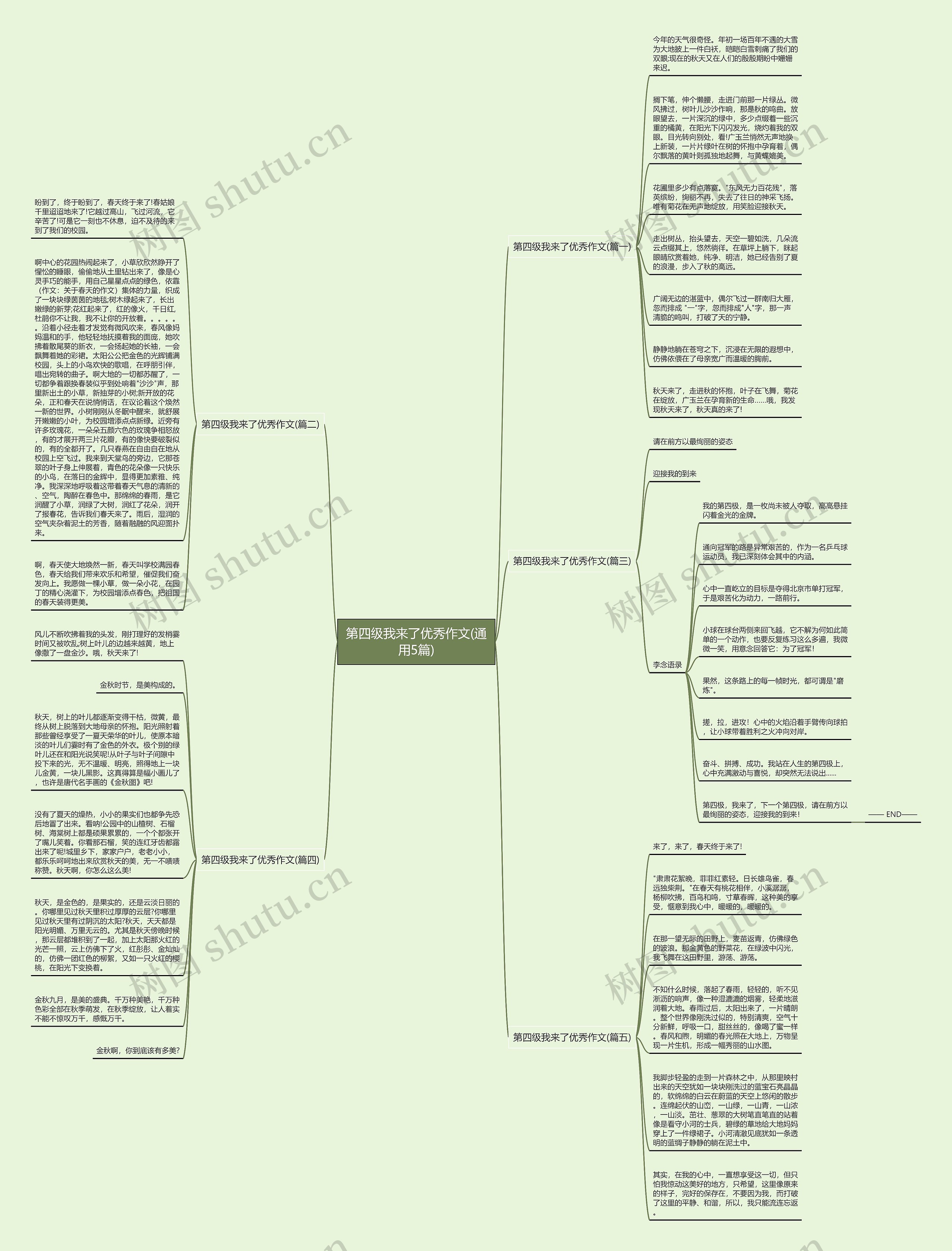 第四级我来了优秀作文(通用5篇)思维导图