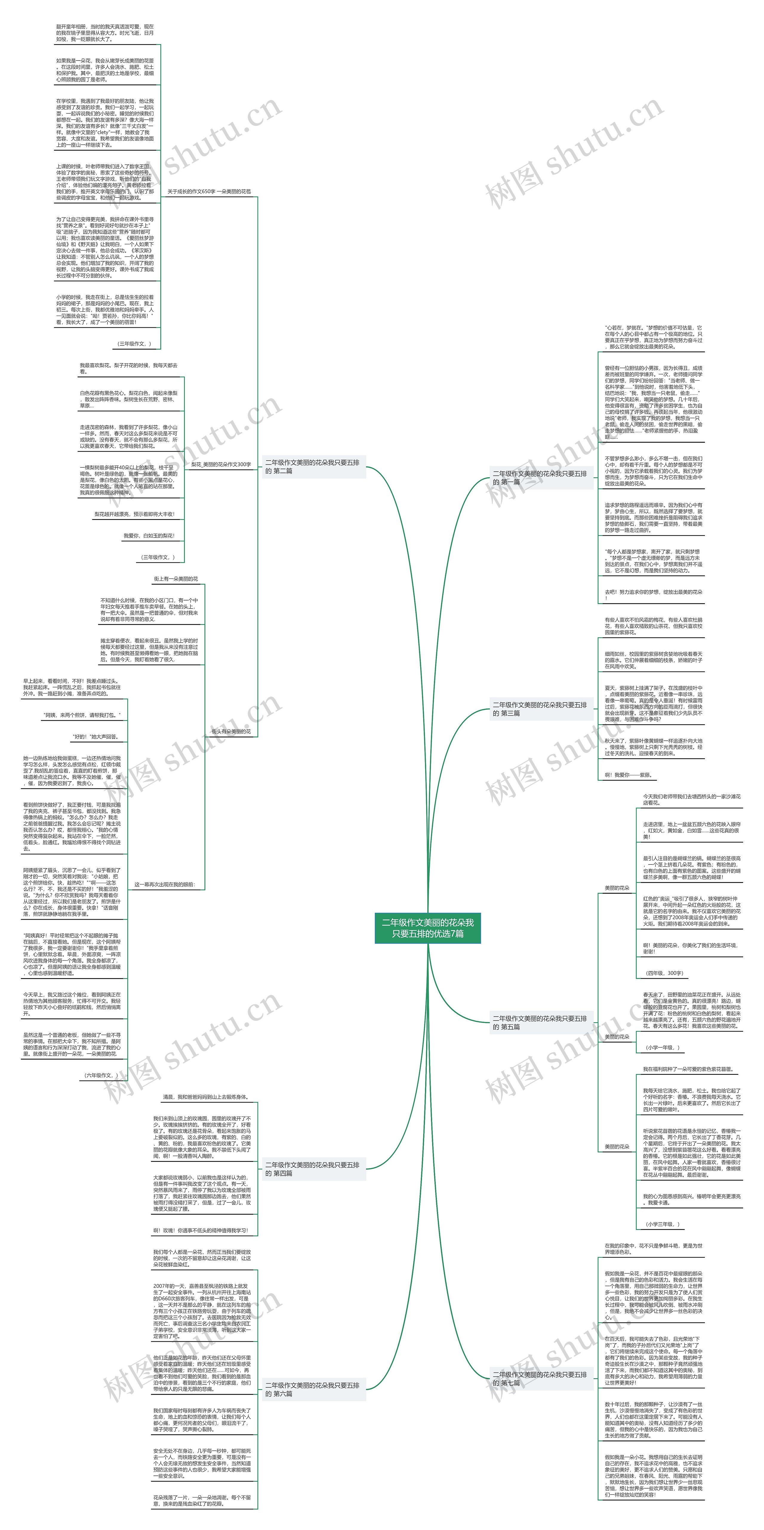 二年级作文美丽的花朵我只要五排的优选7篇思维导图