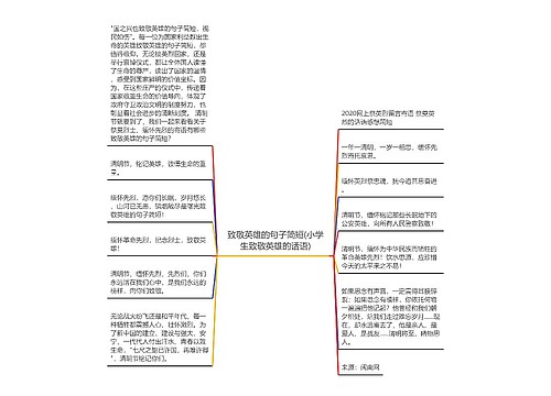 致敬英雄的句子简短(小学生致敬英雄的话语)