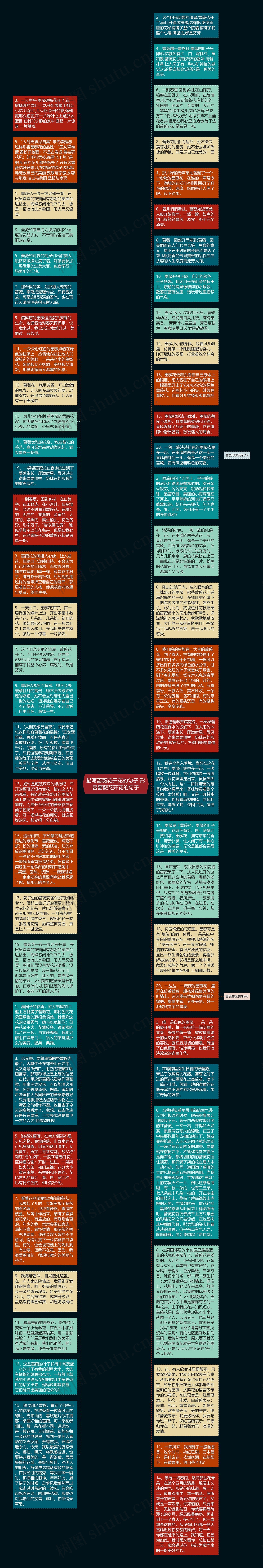 描写蔷薇花开花的句子 形容蔷薇花开花的句子思维导图