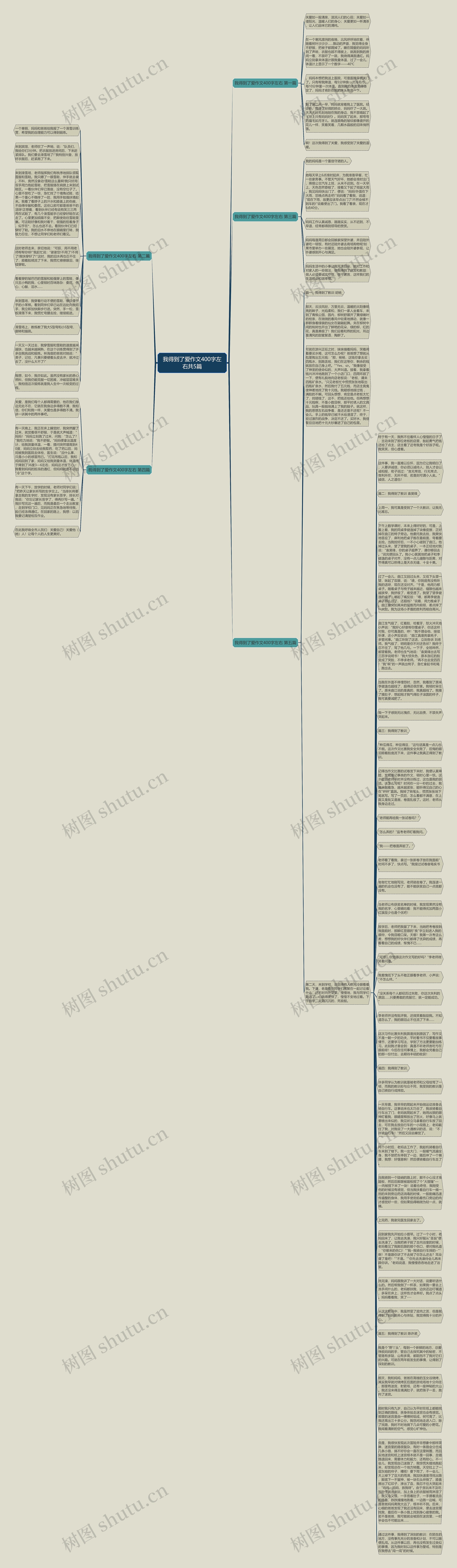 我得到了爱作文400字左右共5篇思维导图