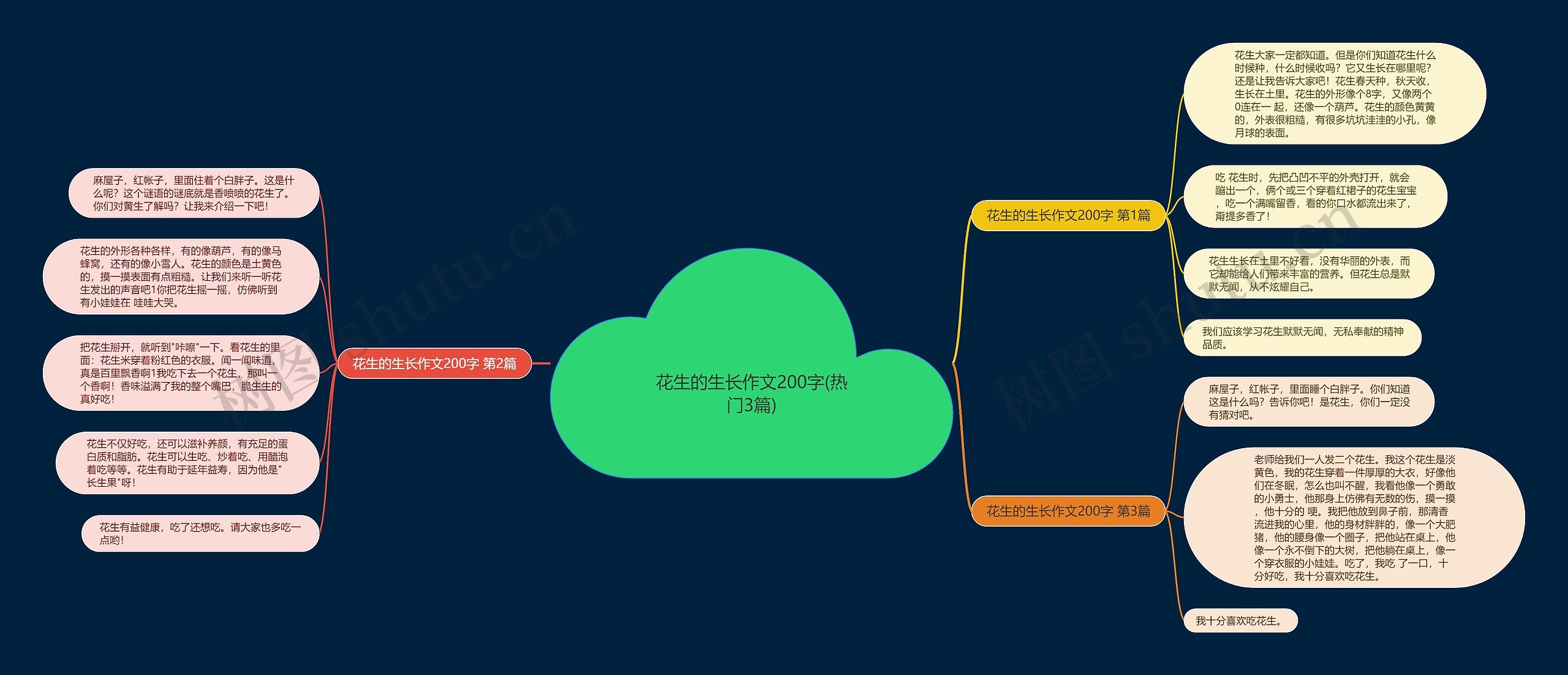 花生的生长作文200字(热门3篇)思维导图