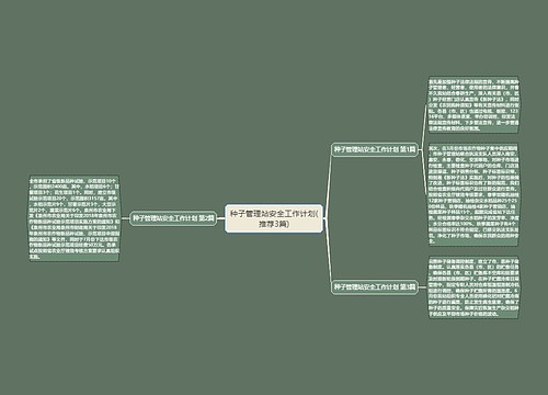 种子管理站安全工作计划(推荐3篇)