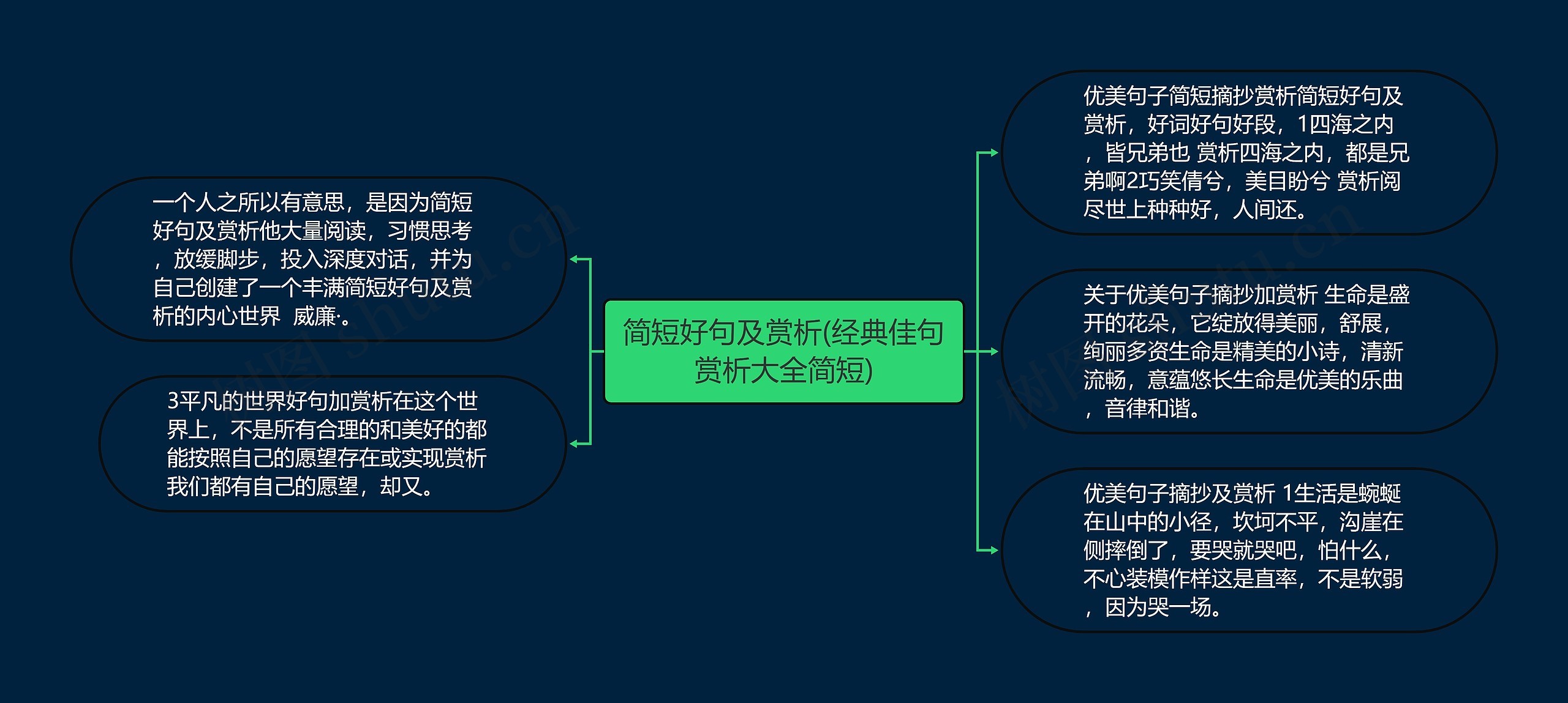 简短好句及赏析(经典佳句赏析大全简短)思维导图