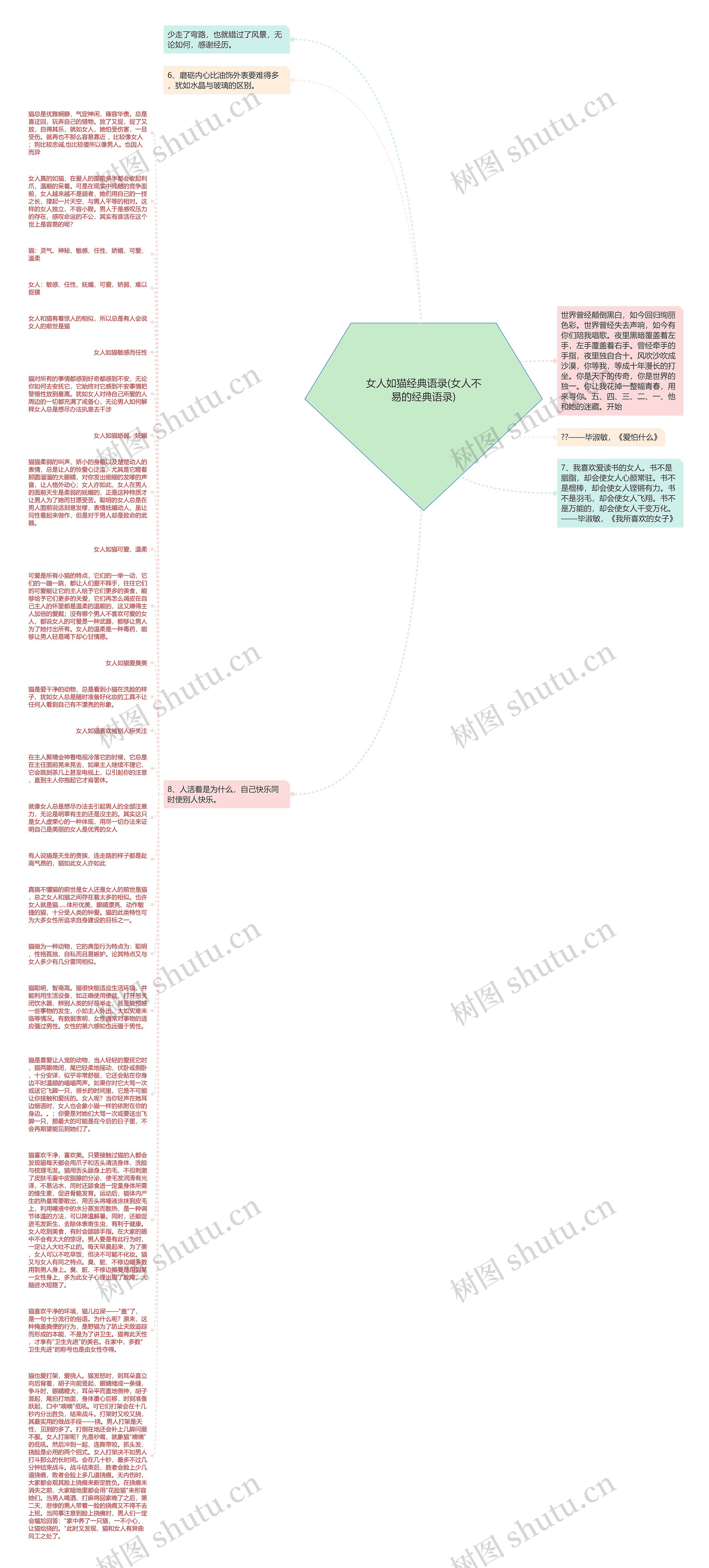 女人如猫经典语录(女人不易的经典语录)思维导图