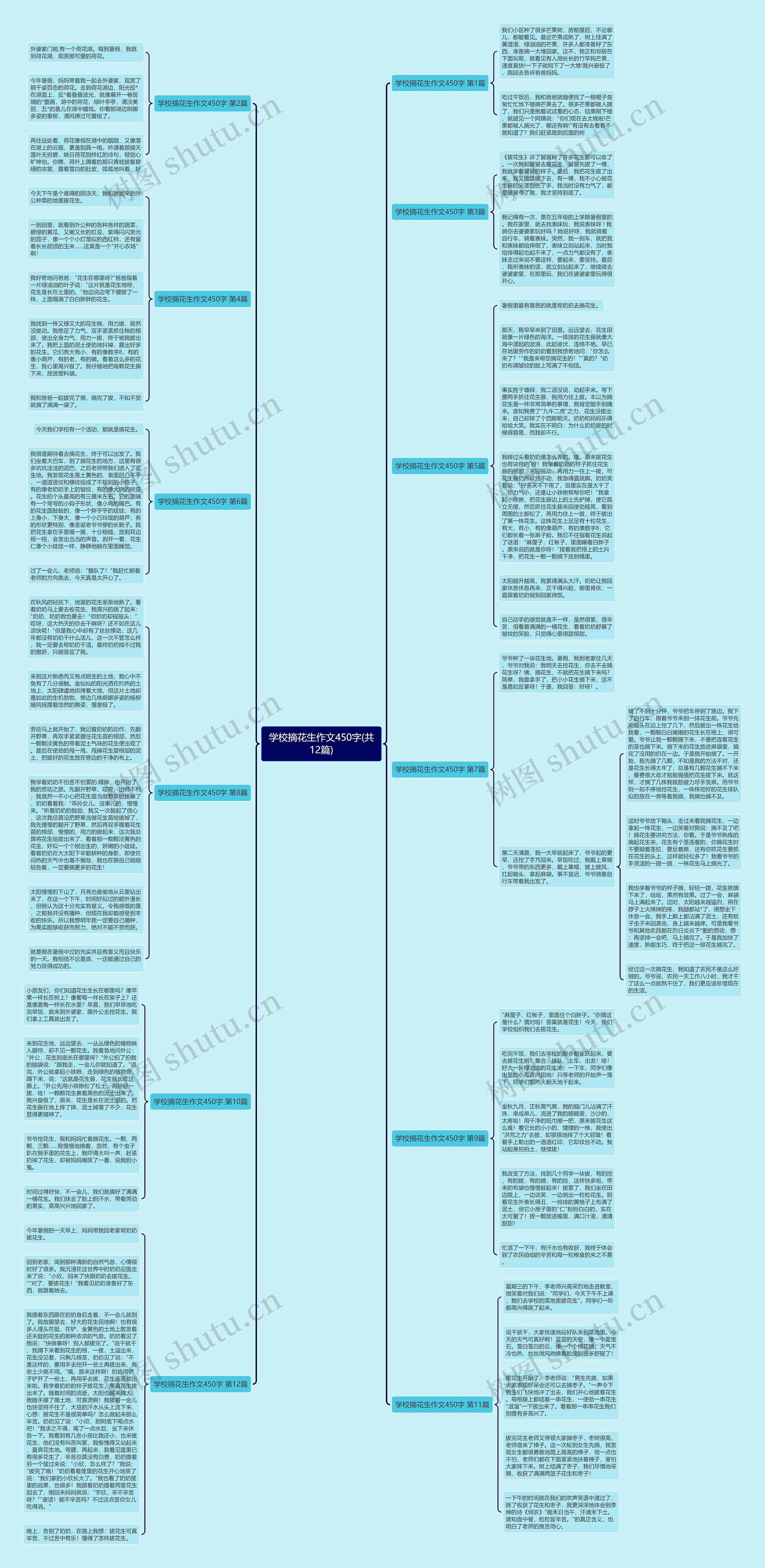 学校摘花生作文450字(共12篇)思维导图