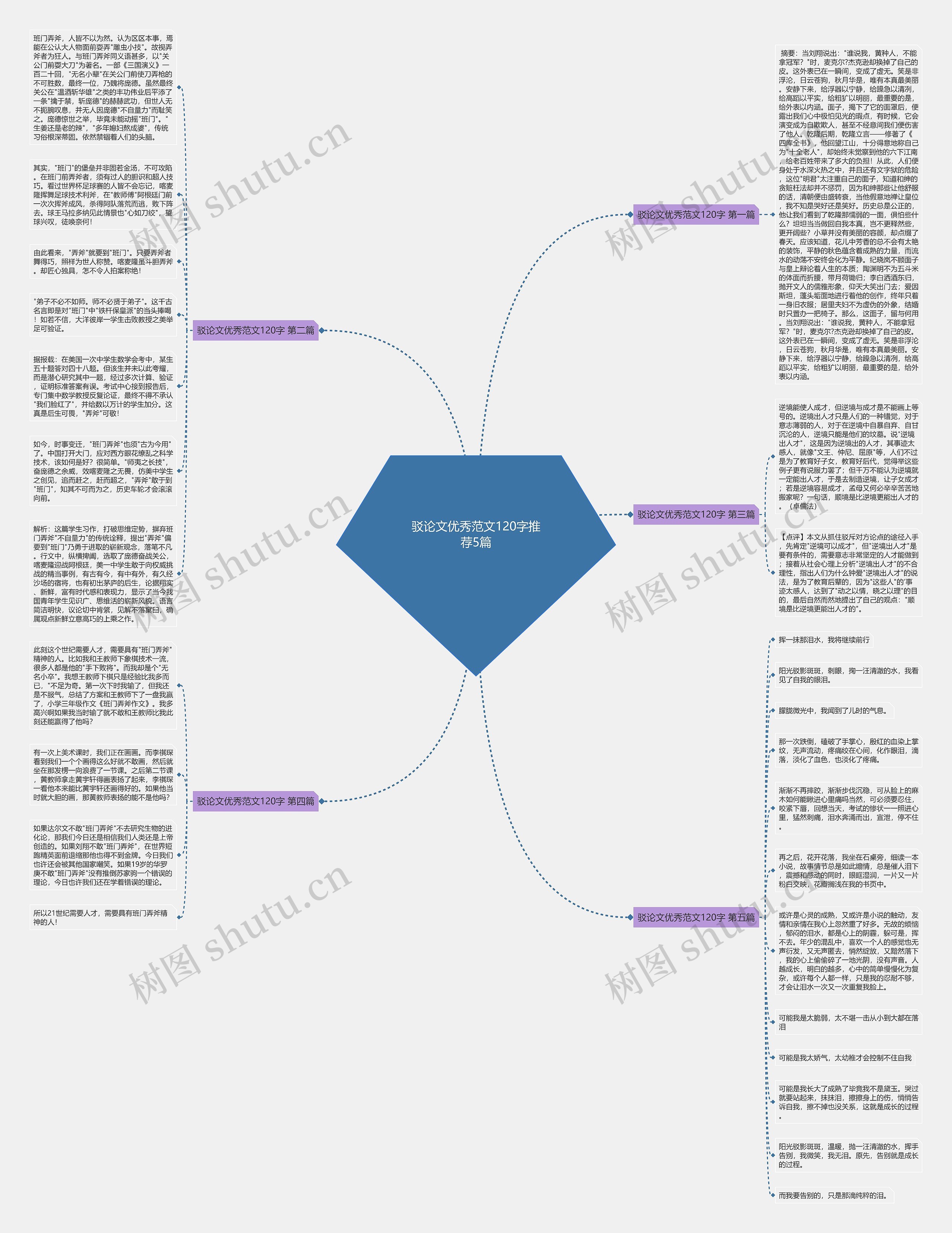 驳论文优秀范文120字推荐5篇思维导图