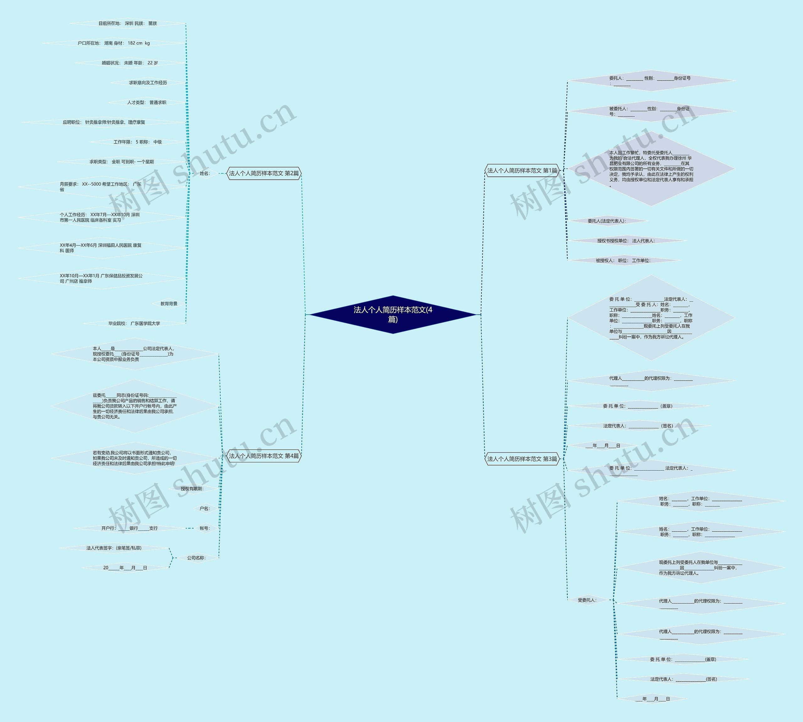 法人个人简历样本范文(4篇)思维导图
