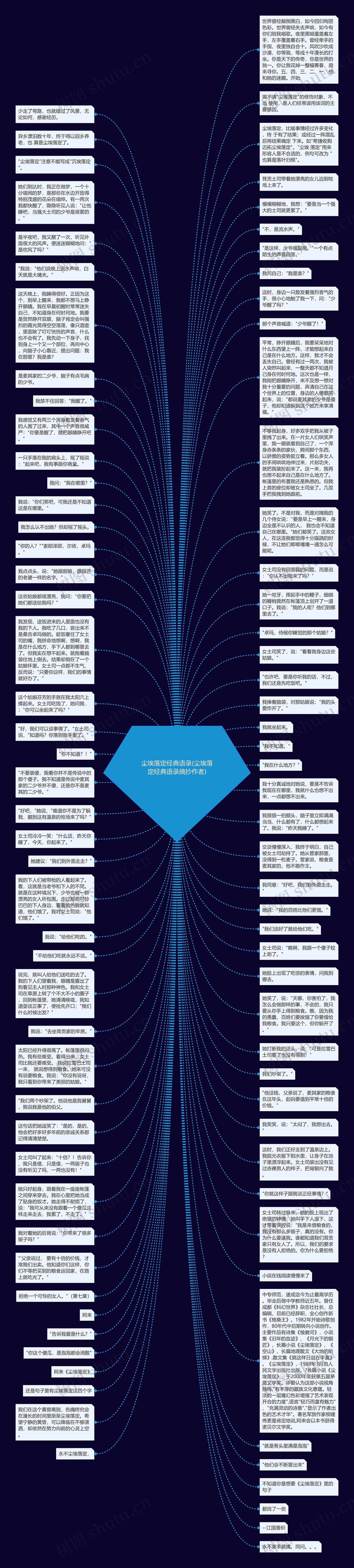 尘埃落定经典语录(尘埃落定经典语录摘抄作者)