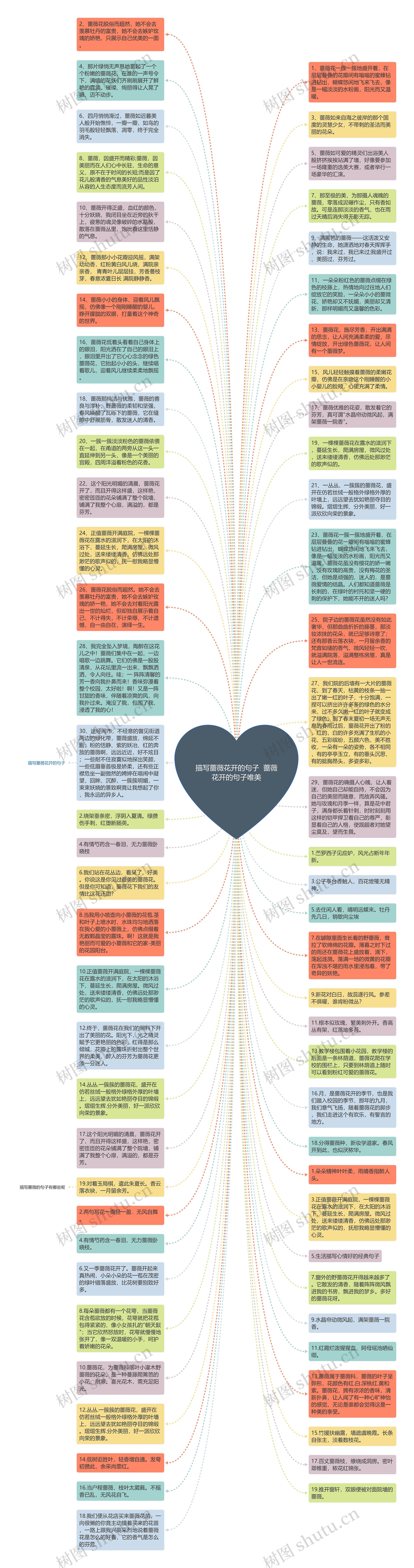 描写蔷薇花开的句子  蔷薇花开的句子唯美思维导图