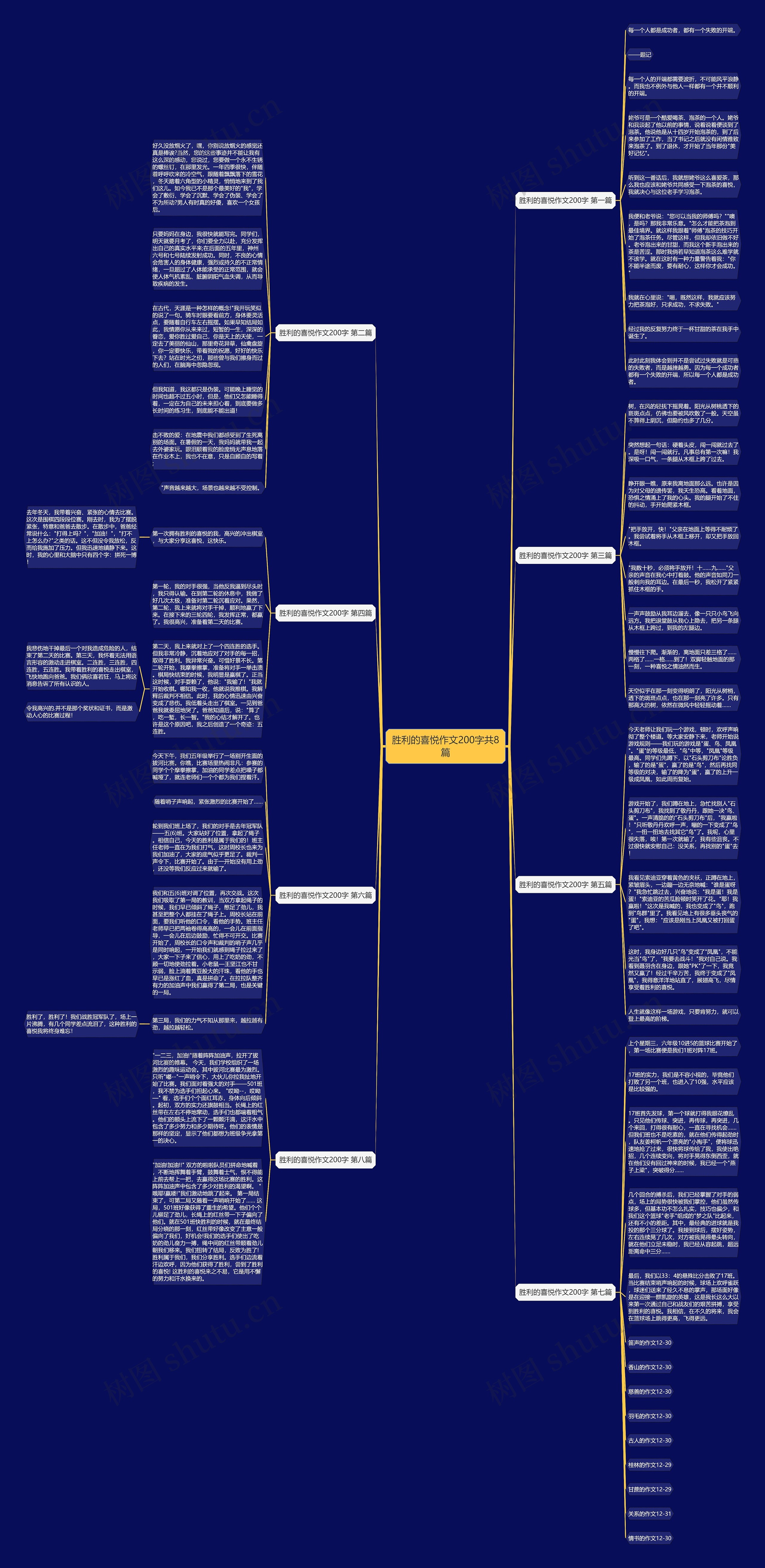 胜利的喜悦作文200字共8篇思维导图