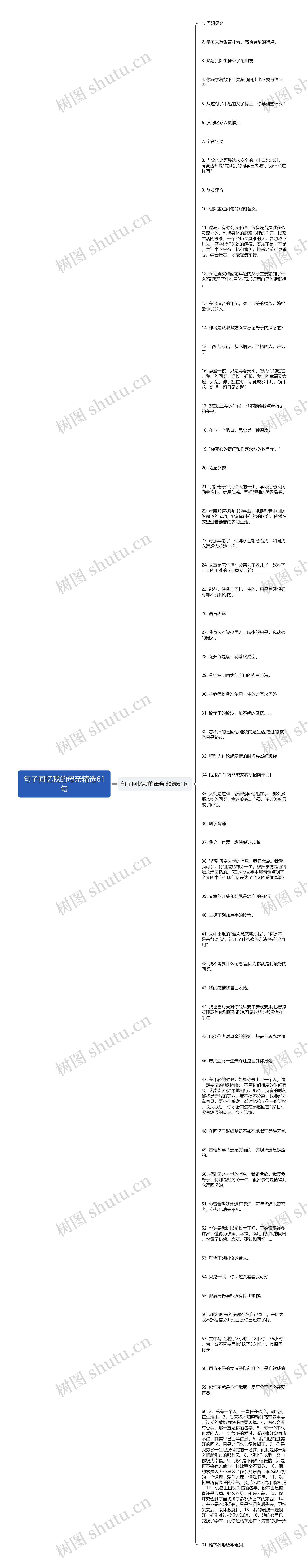 句子回忆我的母亲精选61句思维导图