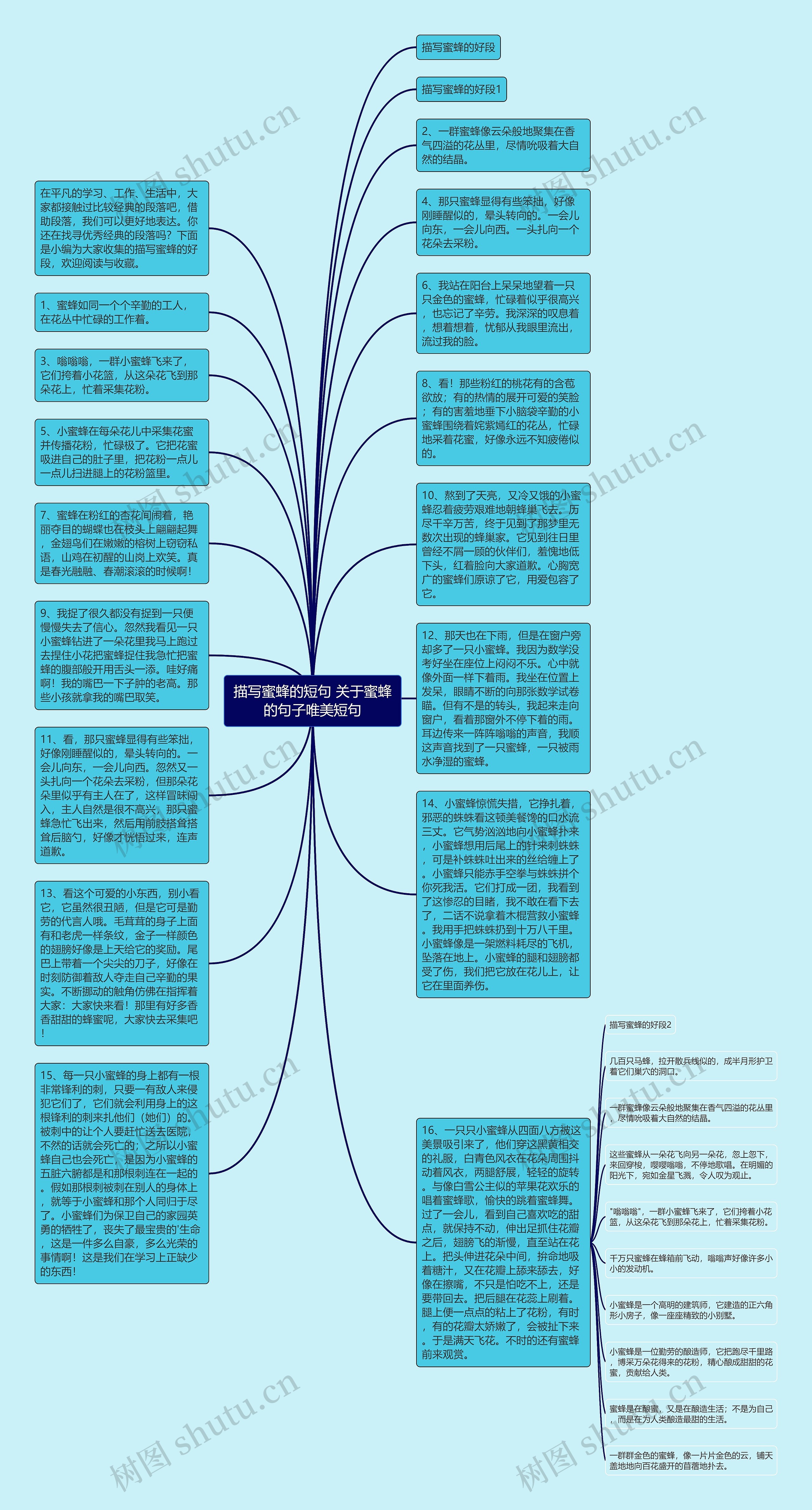 描写蜜蜂的短句 关于蜜蜂的句子唯美短句