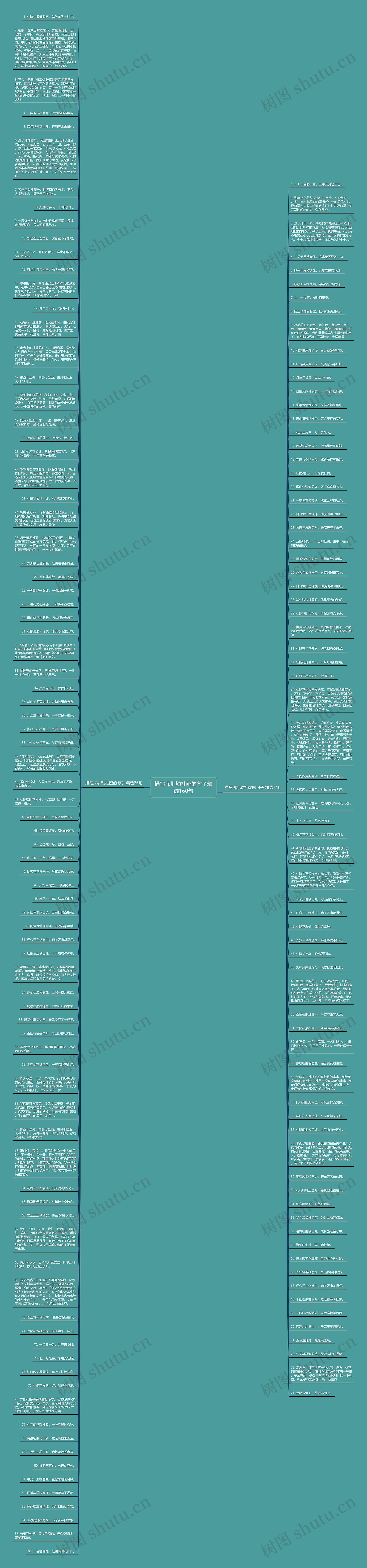 描写深圳勒杜鹃的句子精选160句思维导图