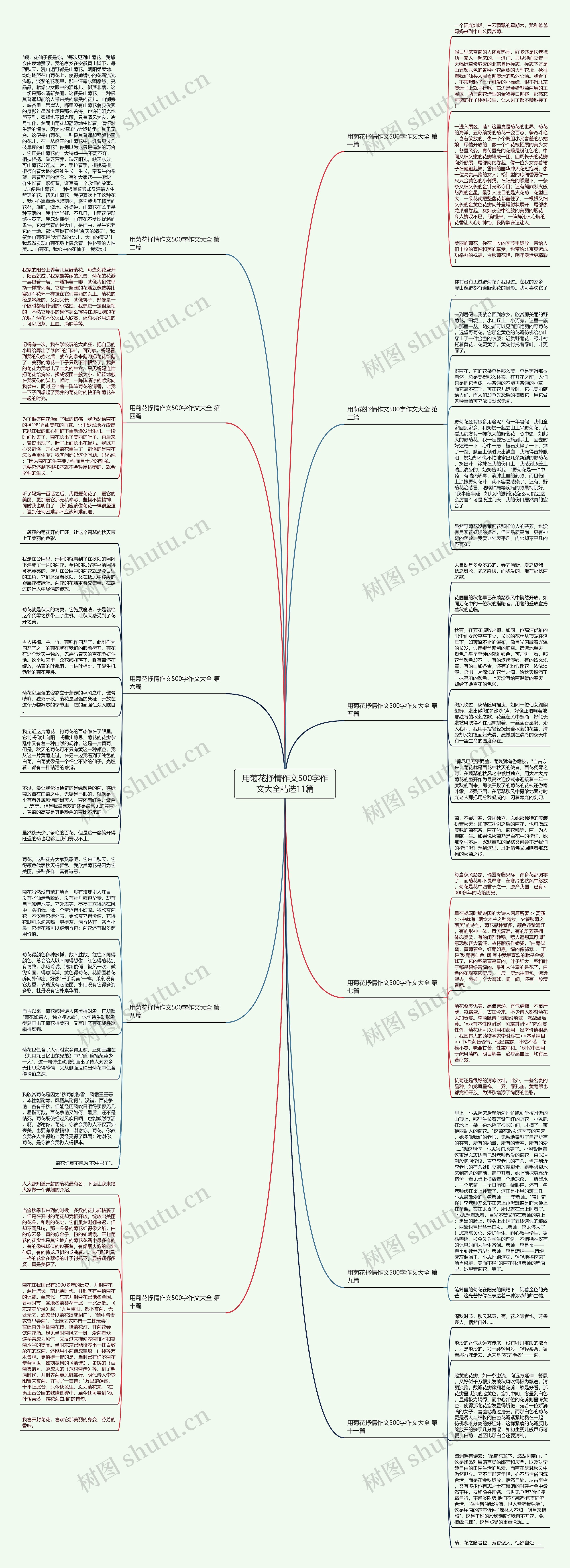 用菊花抒情作文500字作文大全精选11篇