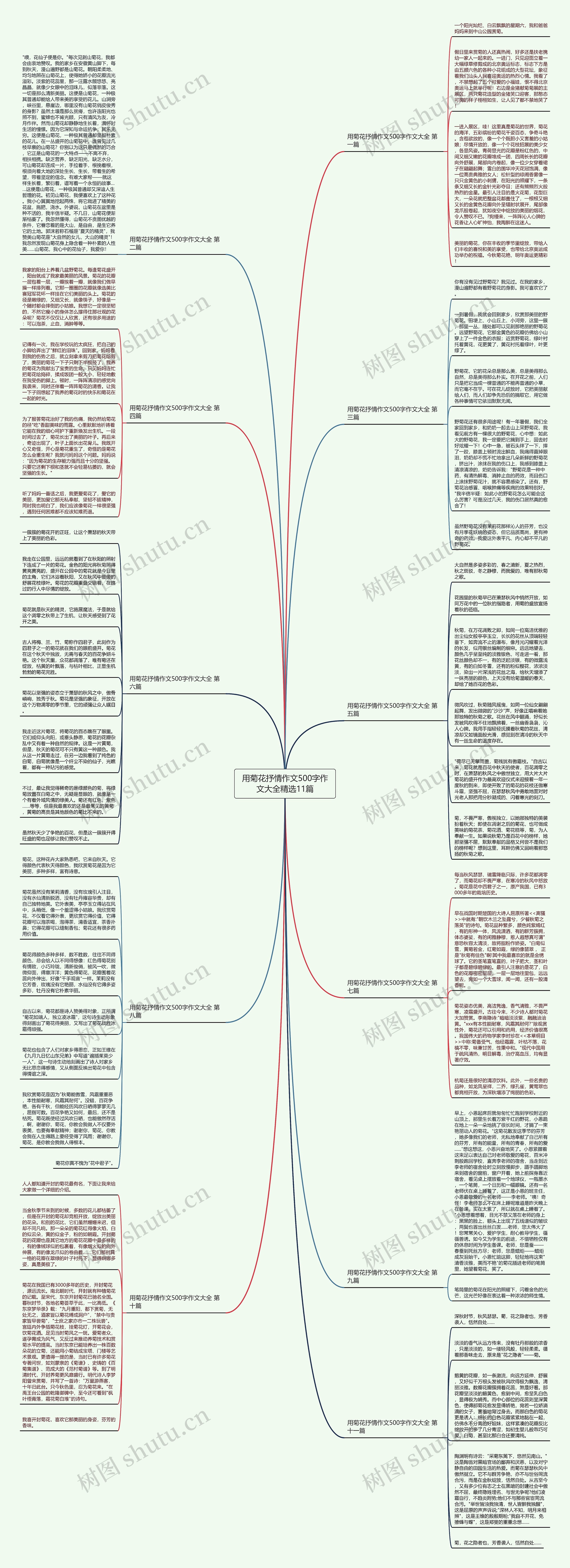 用菊花抒情作文500字作文大全精选11篇 用菊花抒情作文500字作文大全精选11篇