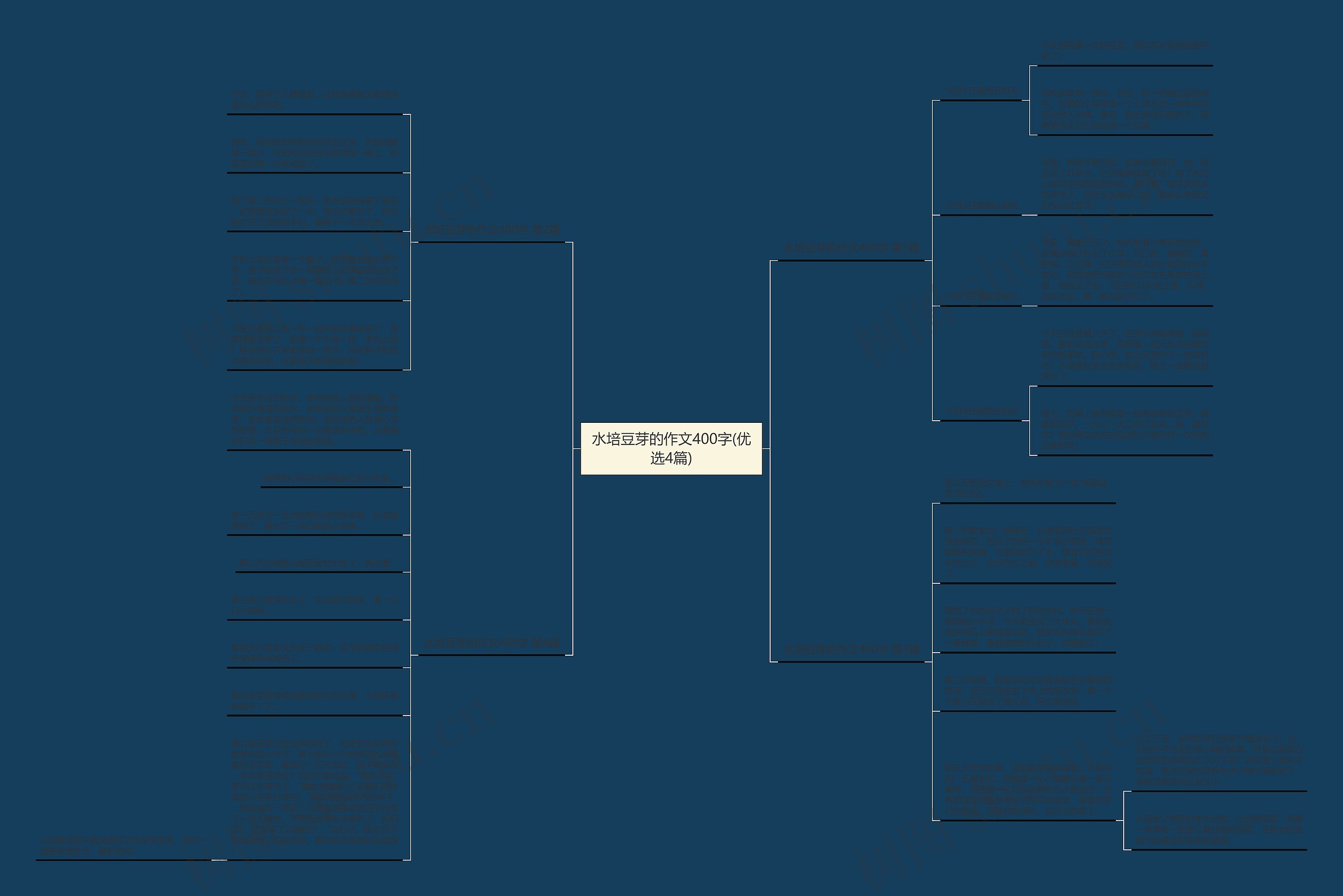 水培豆芽的作文400字(优选4篇)思维导图