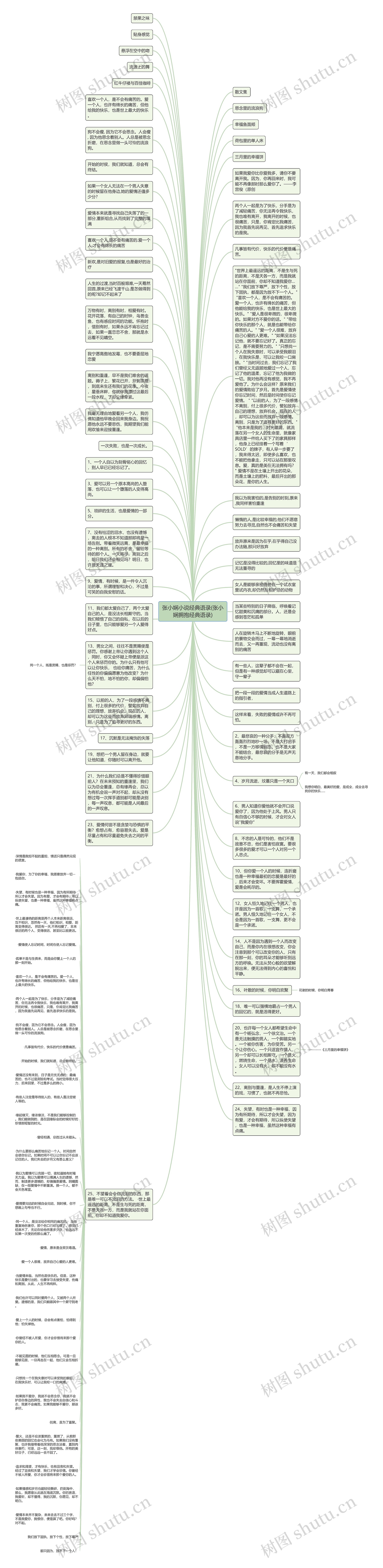 张小娴小说经典语录(张小娴拥抱经典语录)思维导图