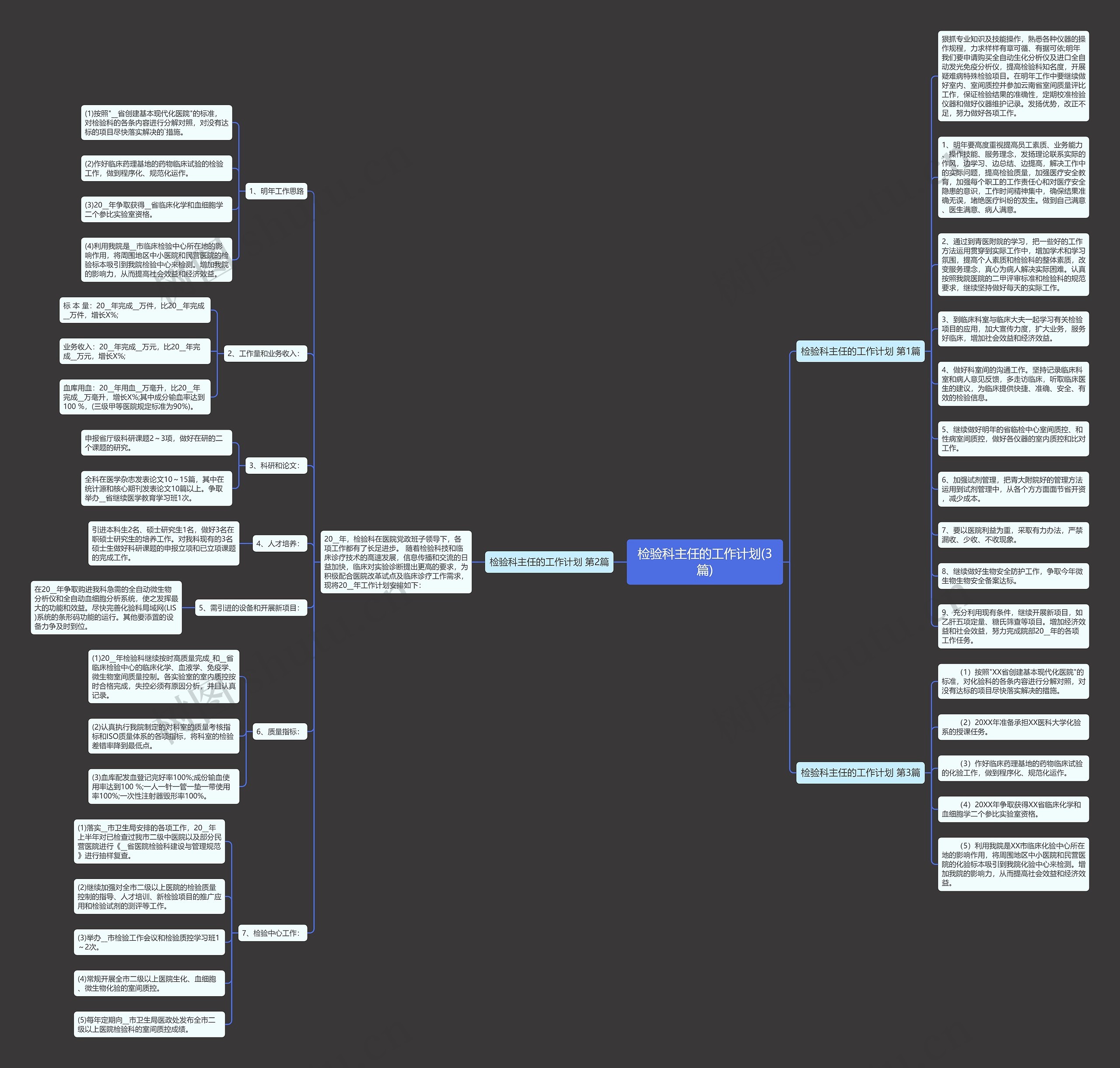 检验科主任的工作计划(3篇)思维导图