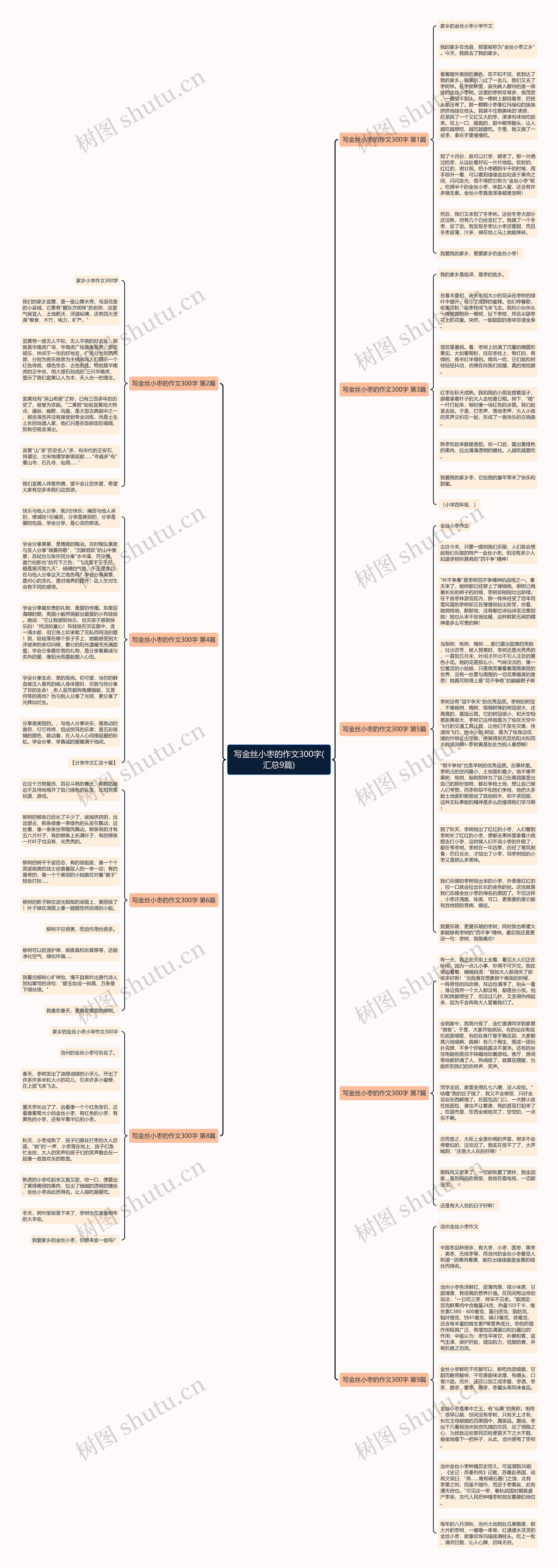 写金丝小枣的作文300字(汇总9篇)