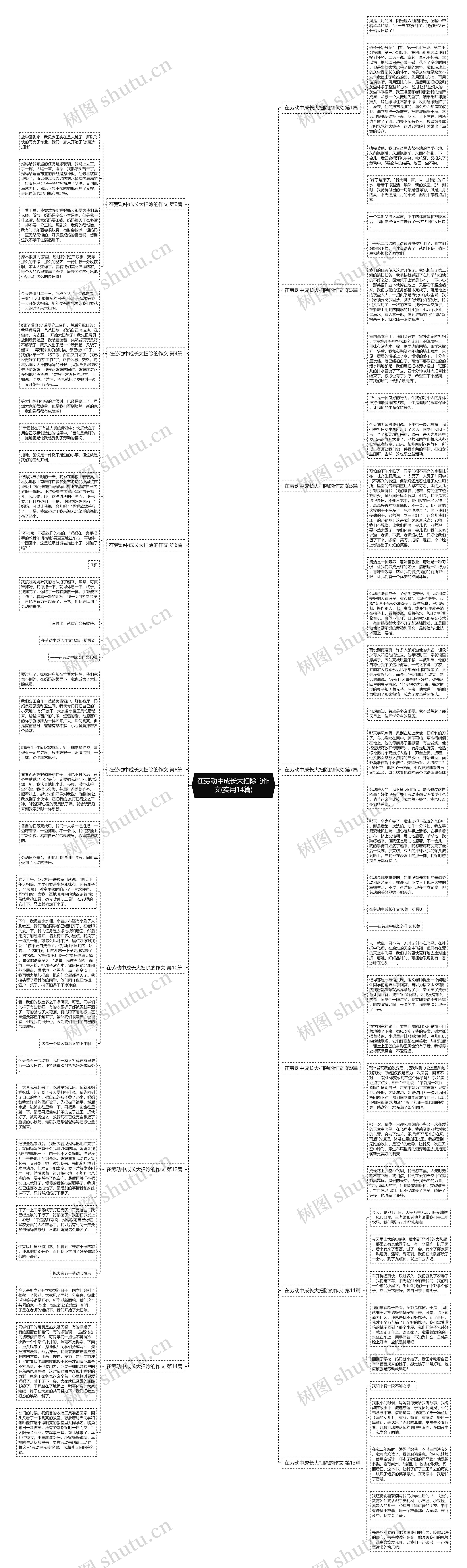 在劳动中成长大扫除的作文(实用14篇)思维导图