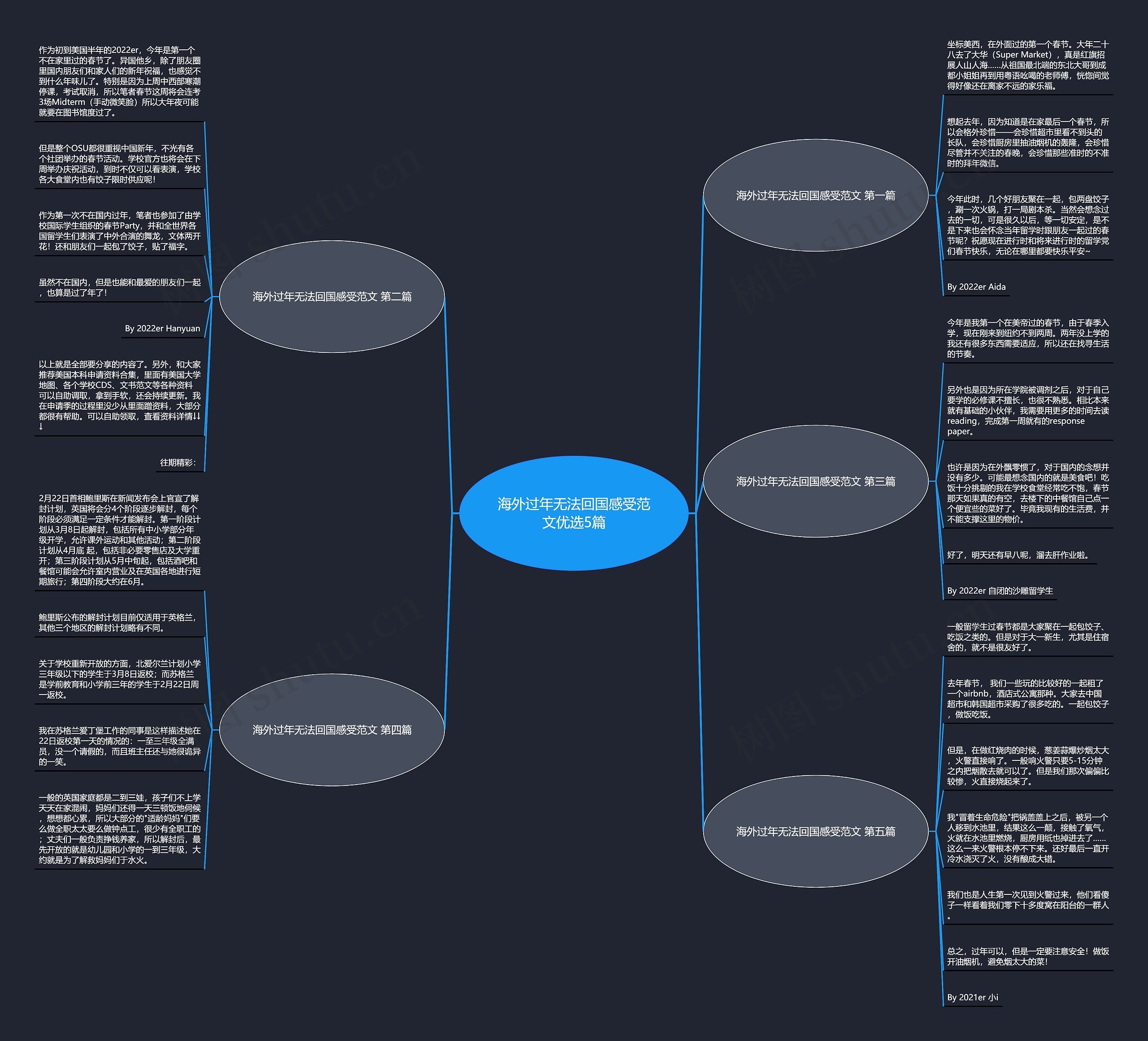 海外过年无法回国感受范文优选5篇思维导图
