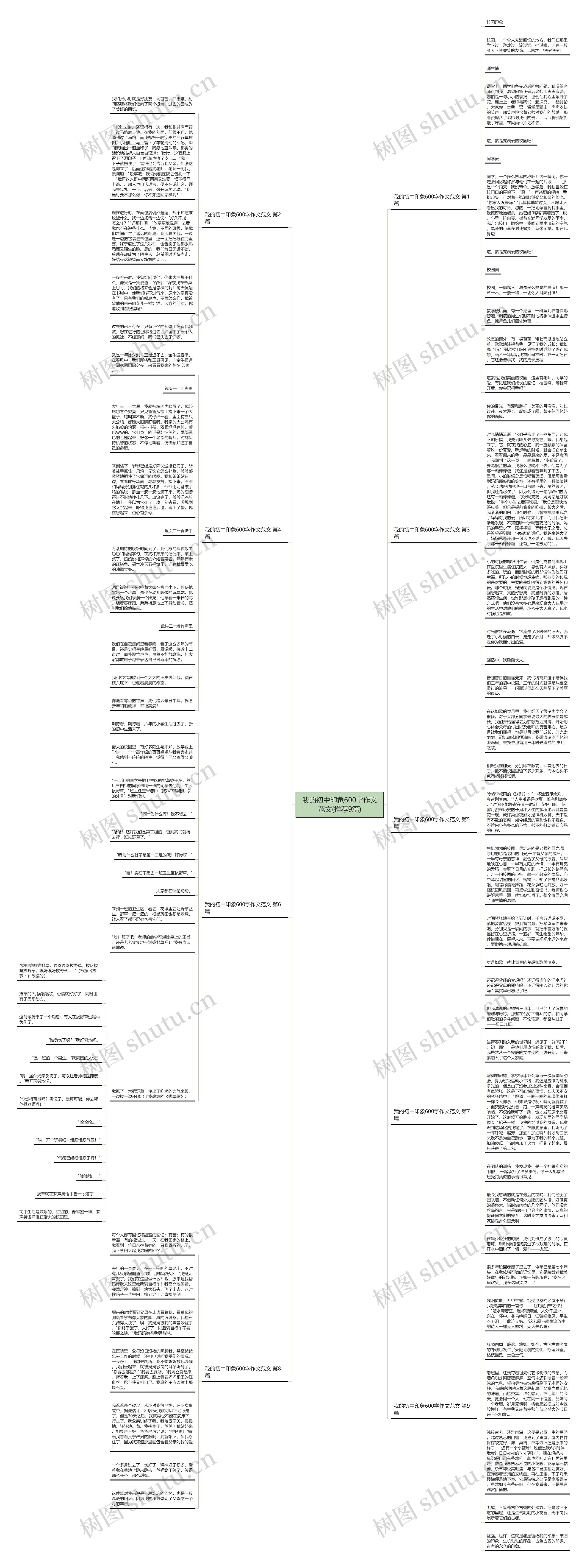 我的初中印象600字作文范文(推荐9篇)思维导图