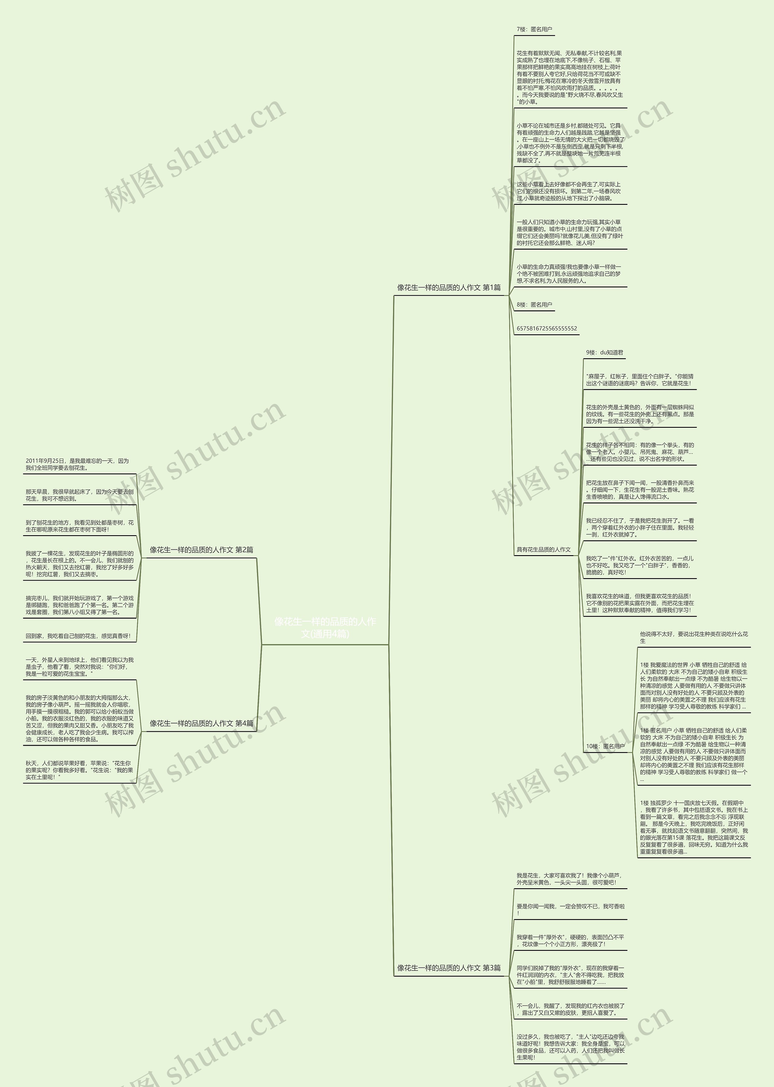 像花生一样的品质的人作文(通用4篇)思维导图
