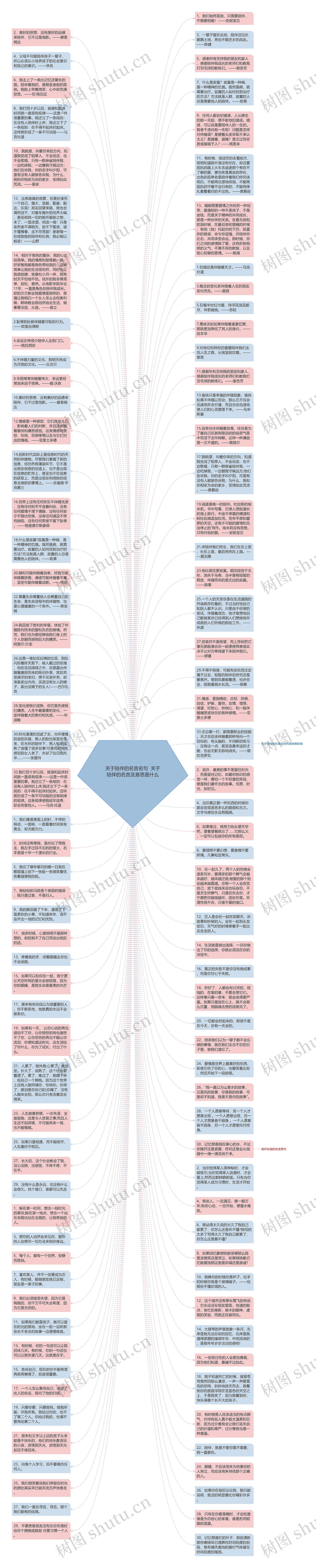 关于陪伴的名言名句  关于陪伴的名言及意思是什么思维导图