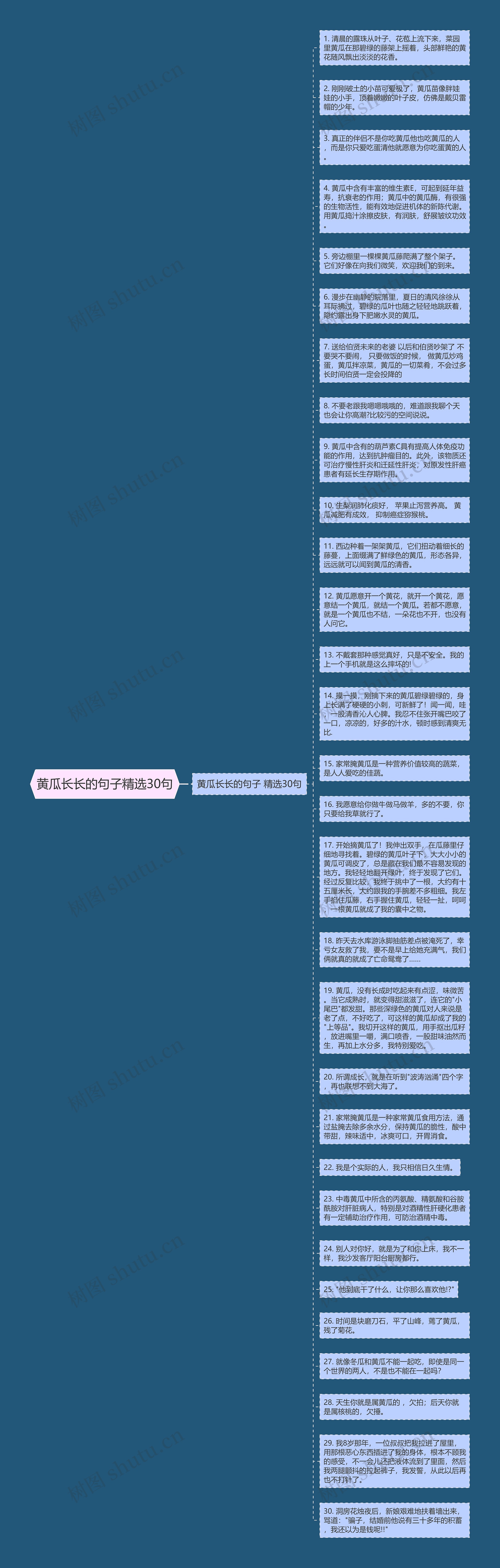 黄瓜长长的句子精选30句思维导图