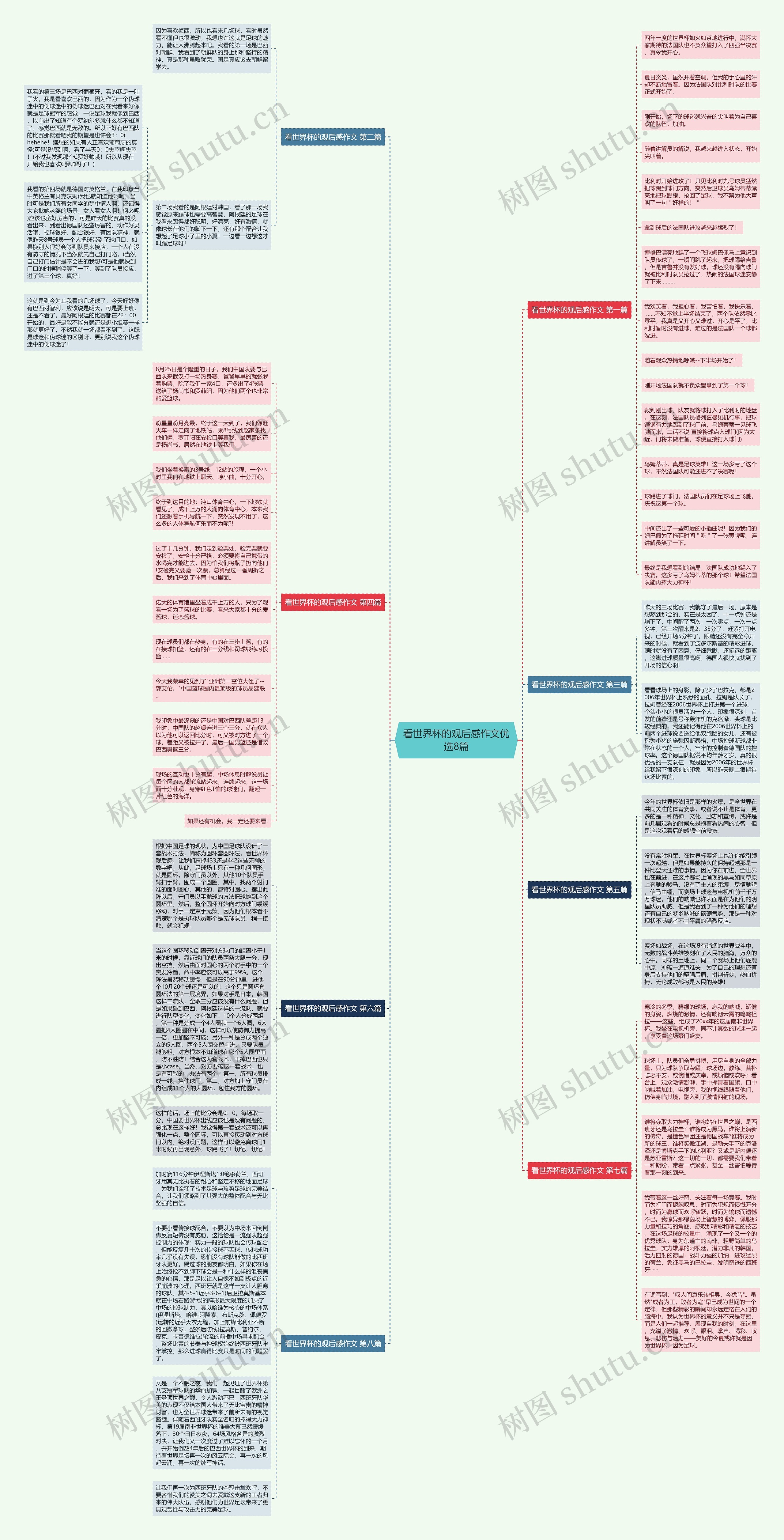 看世界杯的观后感作文优选8篇