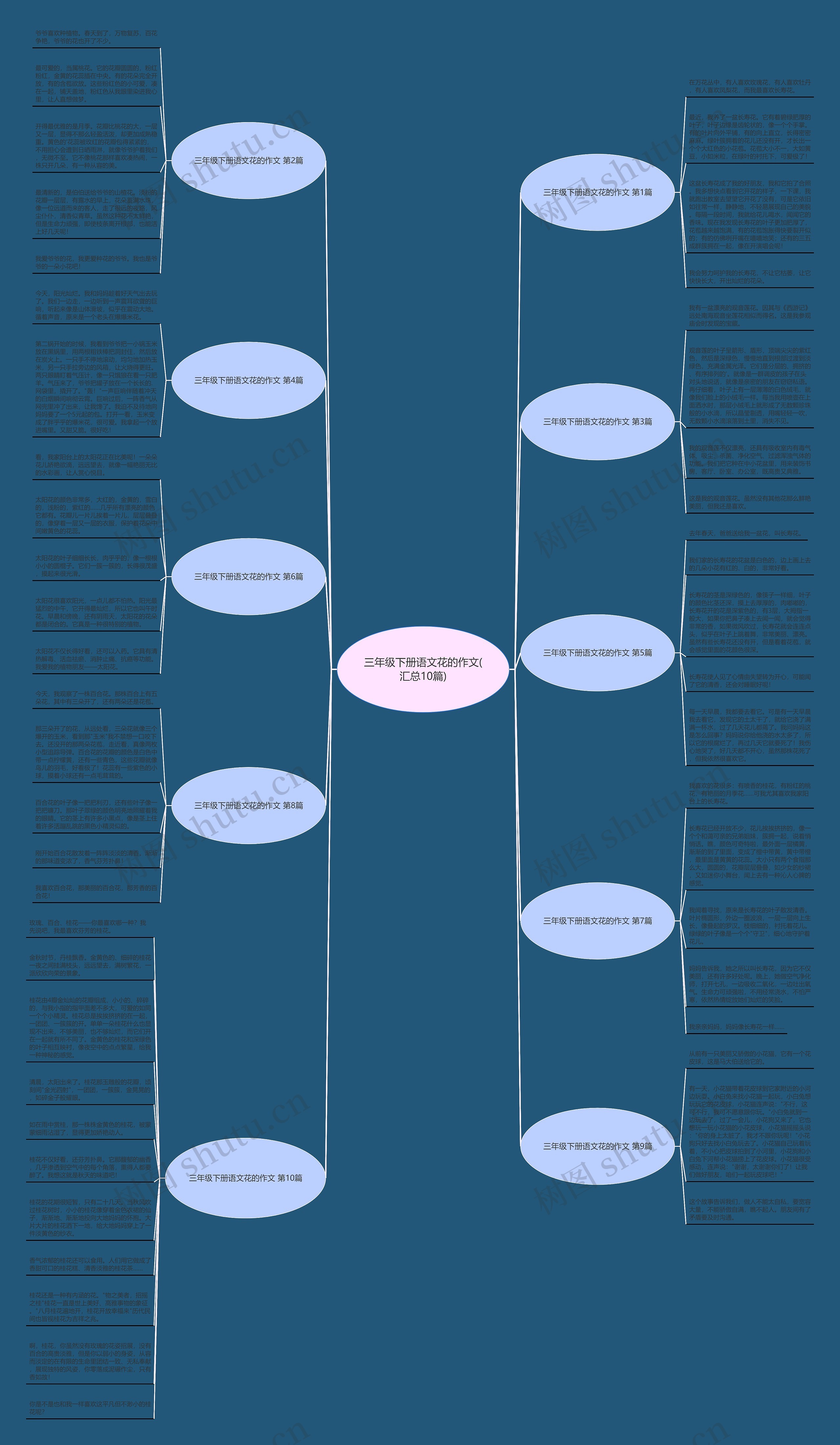 三年级下册语文花的作文(汇总10篇)