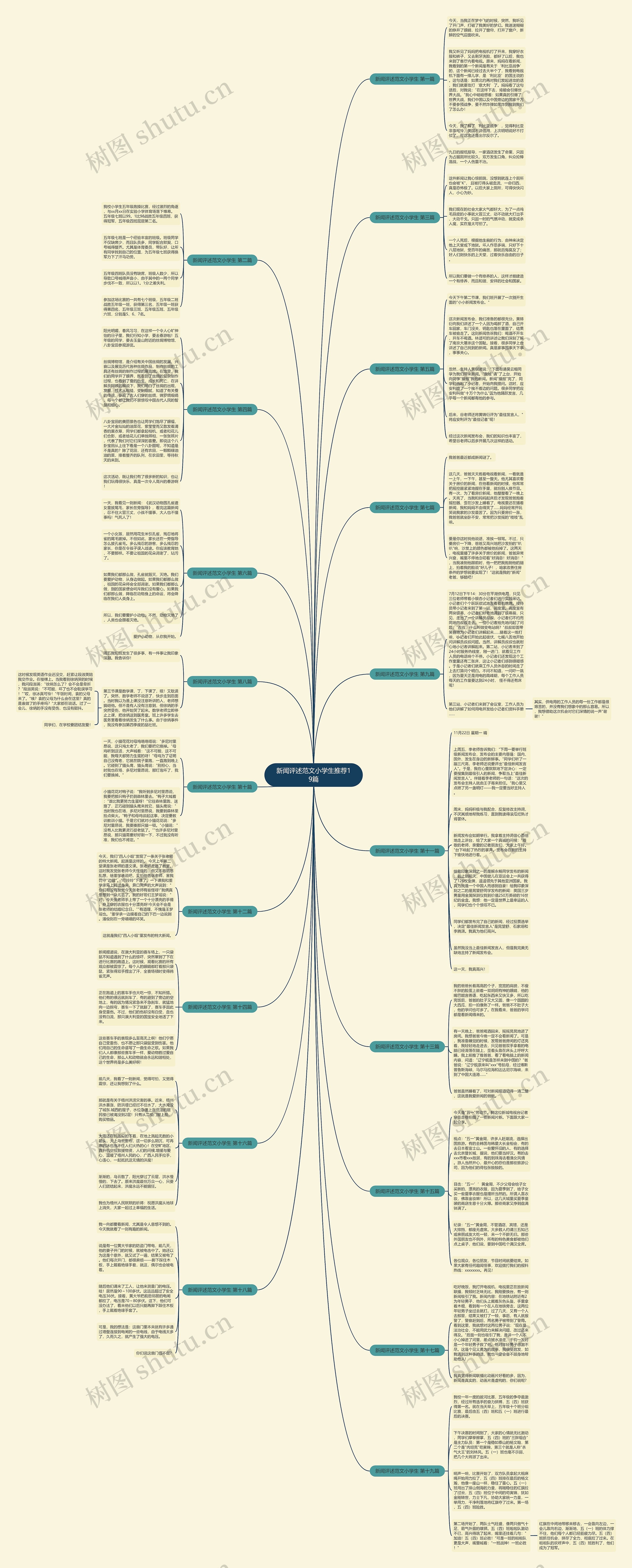 新闻评述范文小学生推荐19篇思维导图
