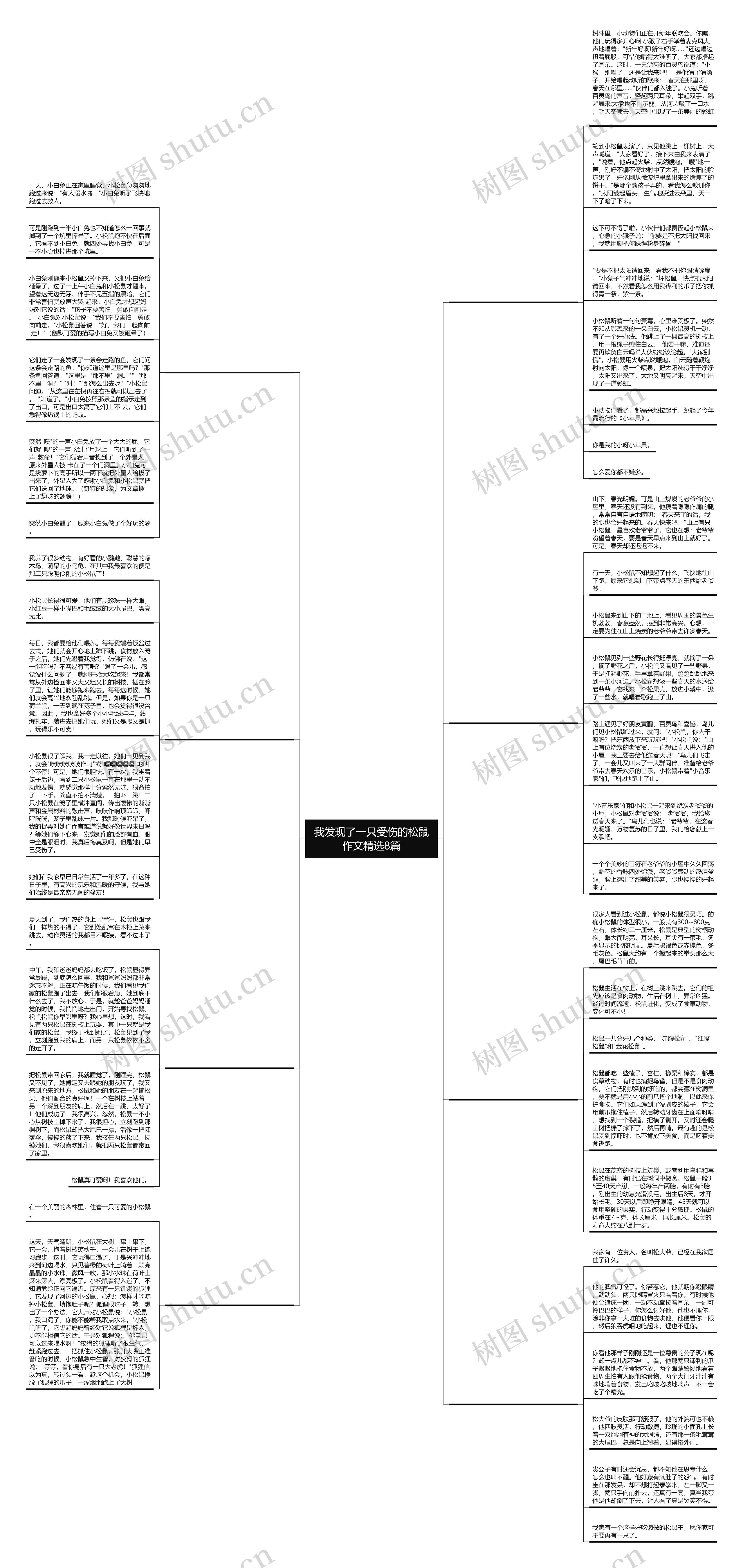 我发现了一只受伤的松鼠作文精选8篇思维导图