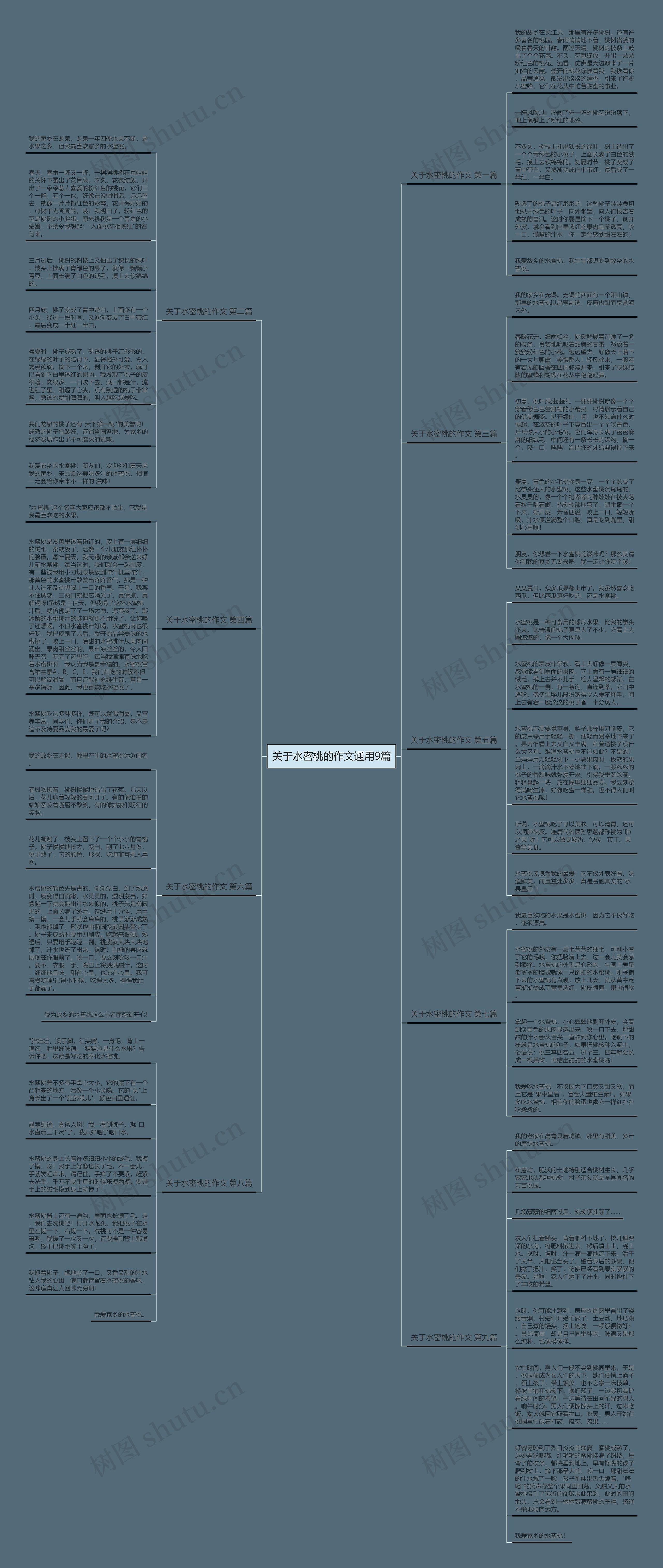 关于水密桃的作文通用9篇思维导图
