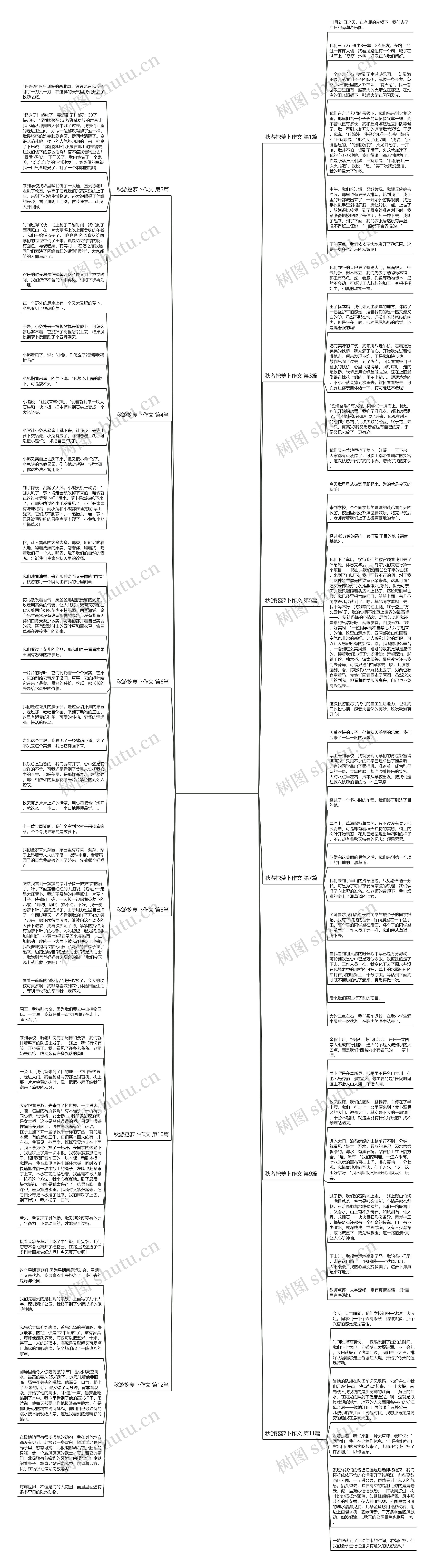 秋游挖萝卜作文(12篇)思维导图