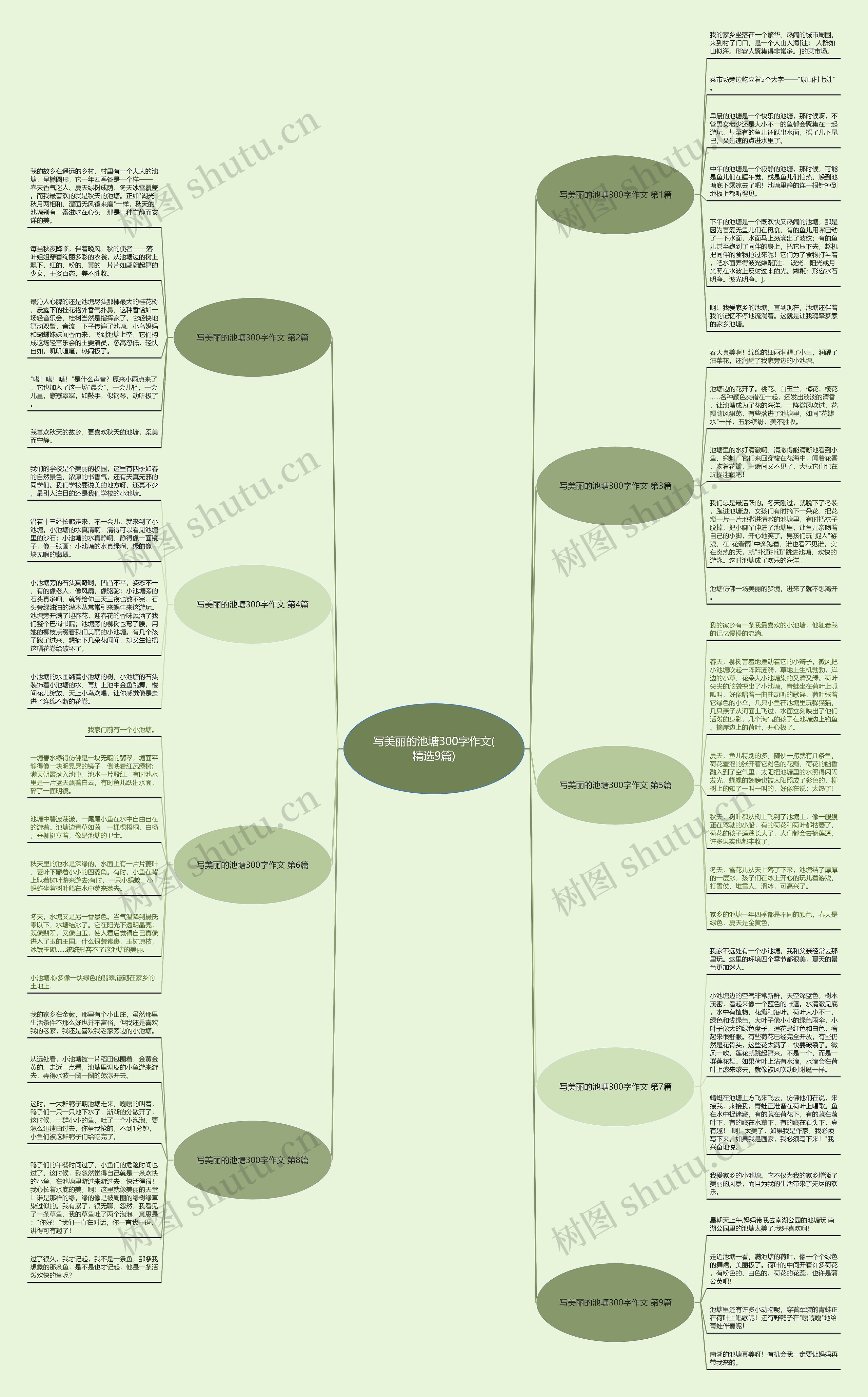 写美丽的池塘300字作文(精选9篇)思维导图