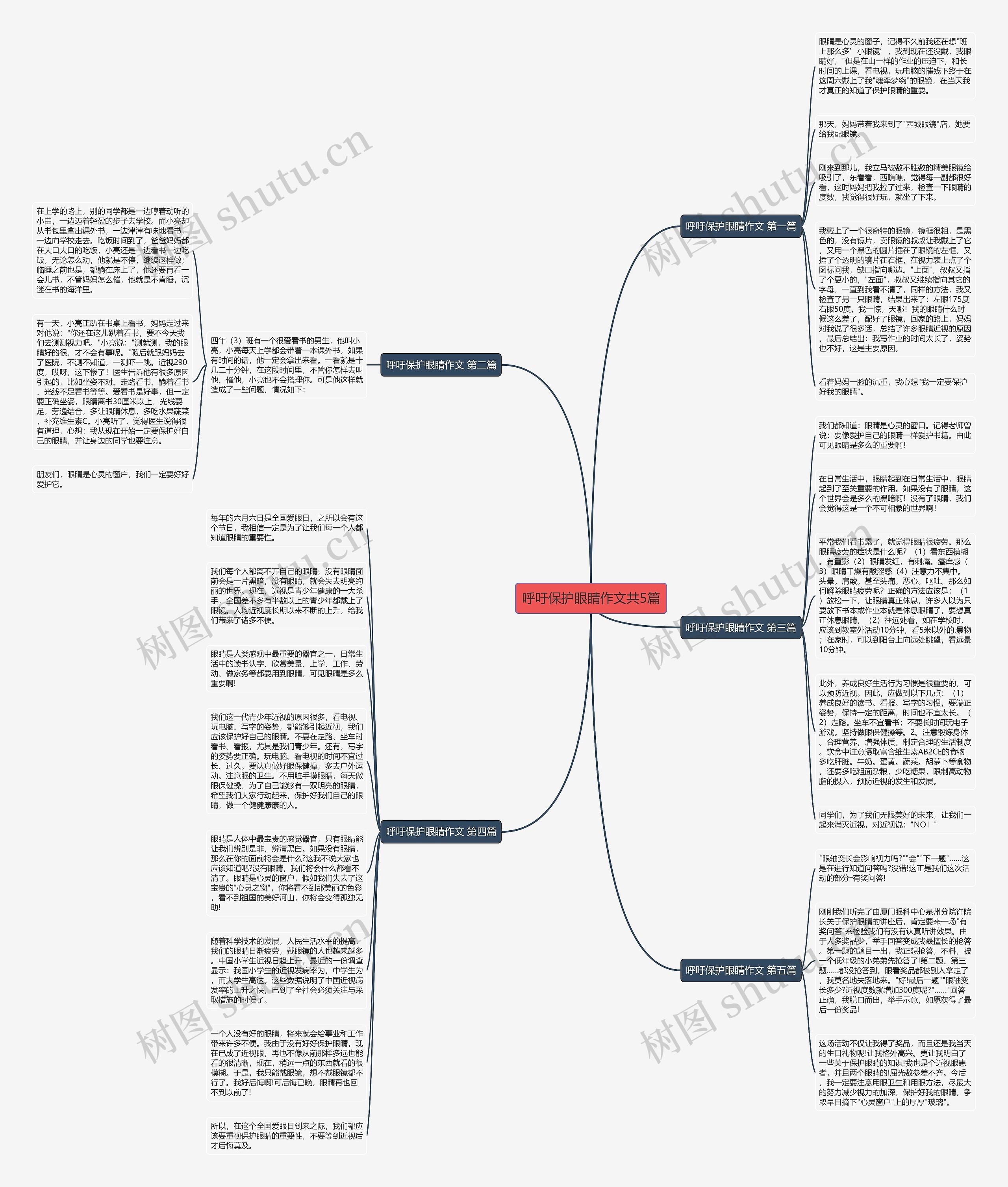 呼吁保护眼睛作文共5篇