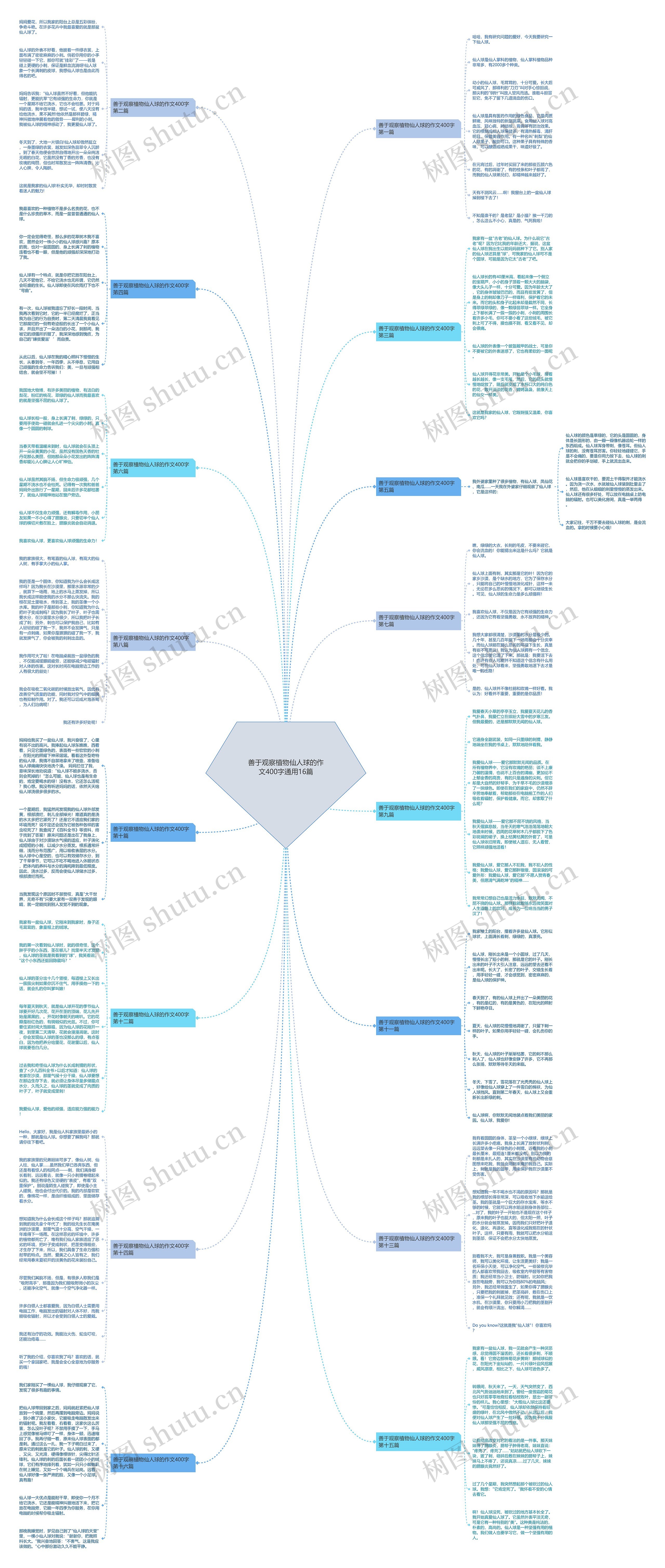 善于观察植物仙人球的作文400字通用16篇思维导图