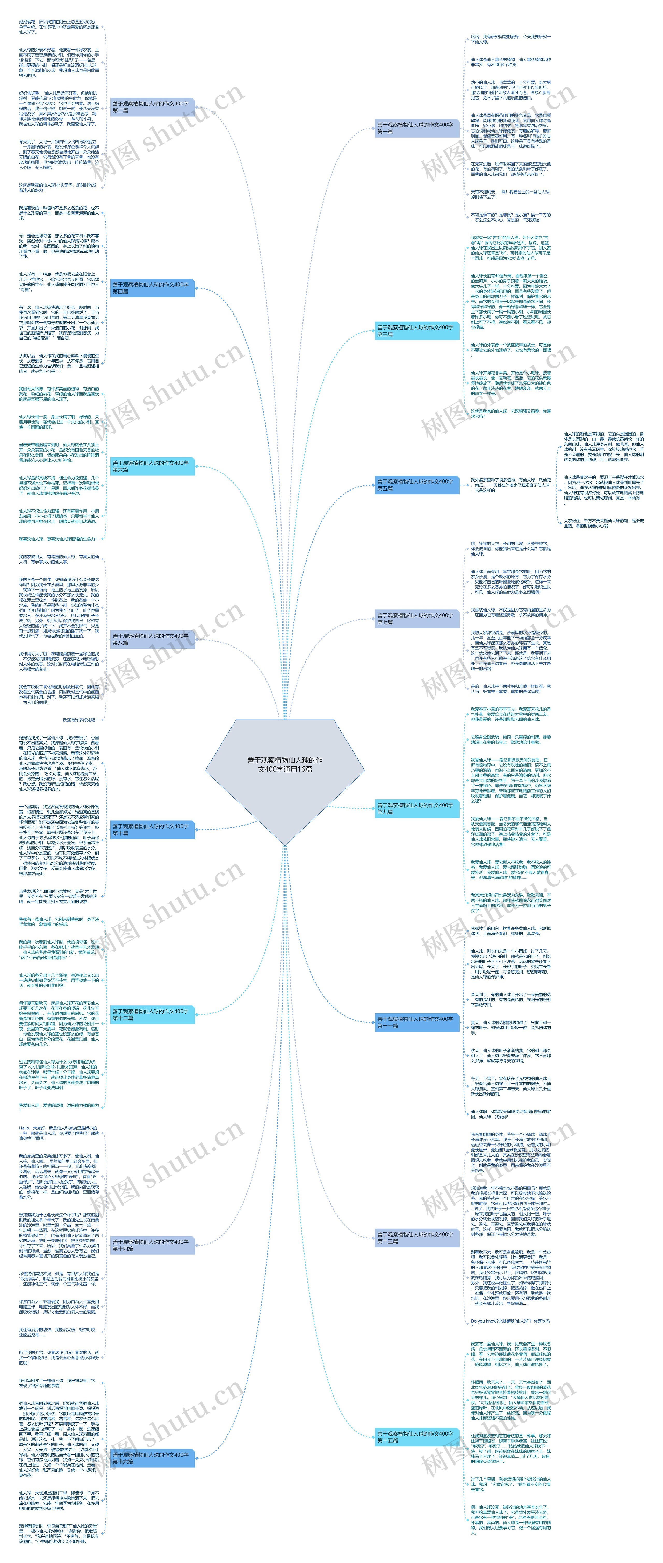 善于观察植物仙人球的作文400字通用16篇 善于观察植物仙人球的作文400字通用16篇