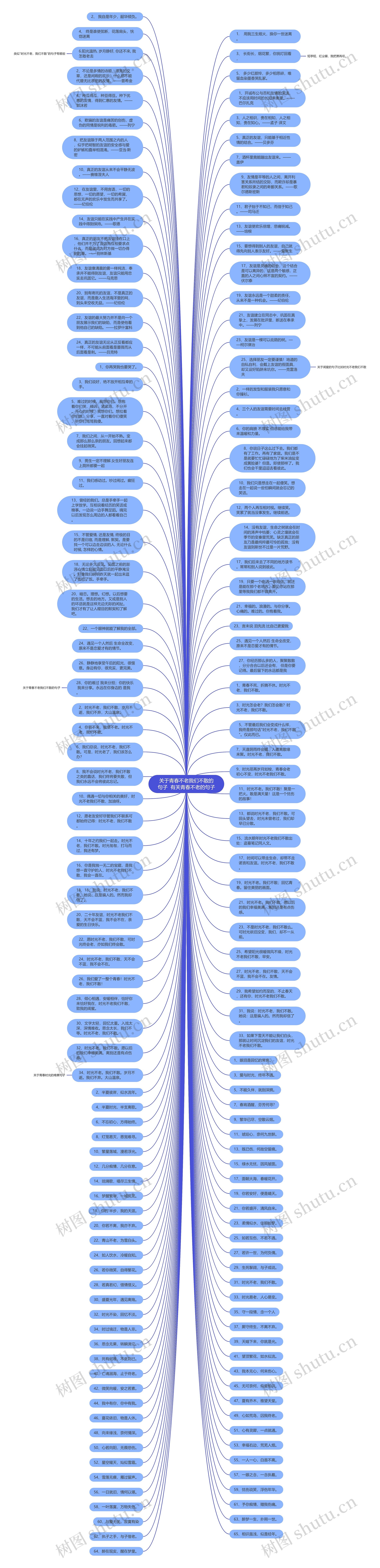 关于青春不老我们不散的句子  有关青春不老的句子思维导图