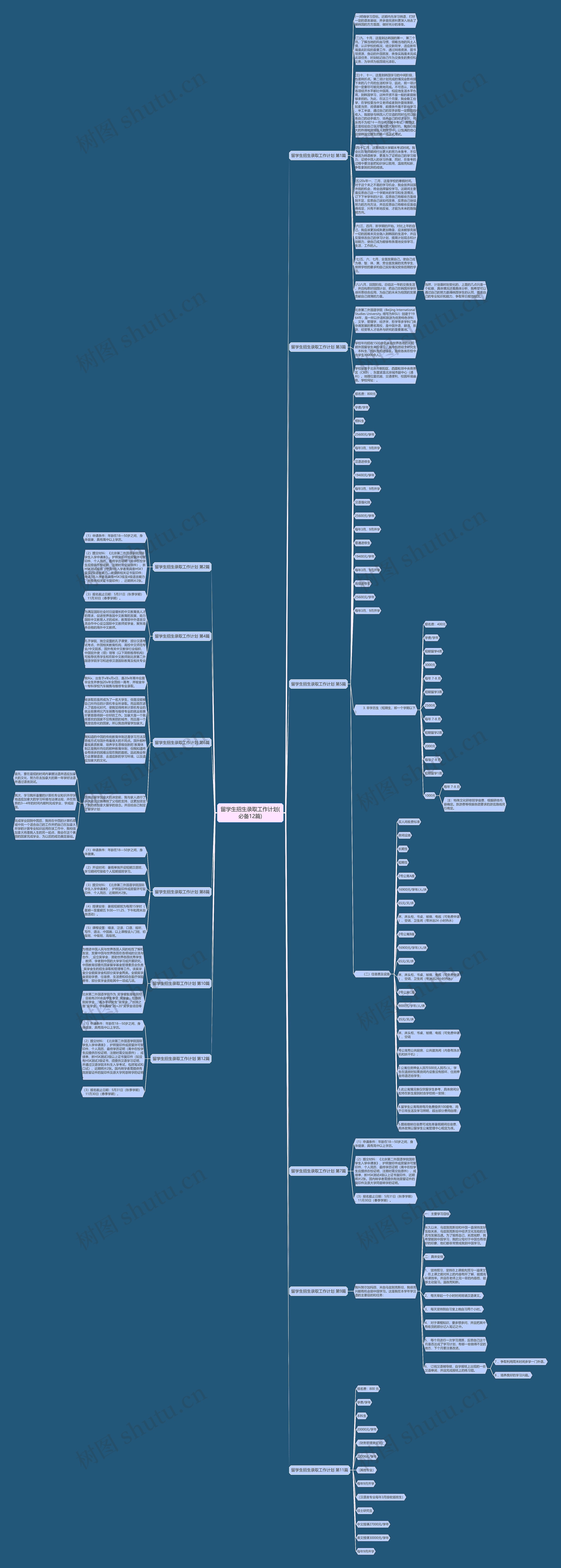 留学生招生录取工作计划(必备12篇)思维导图