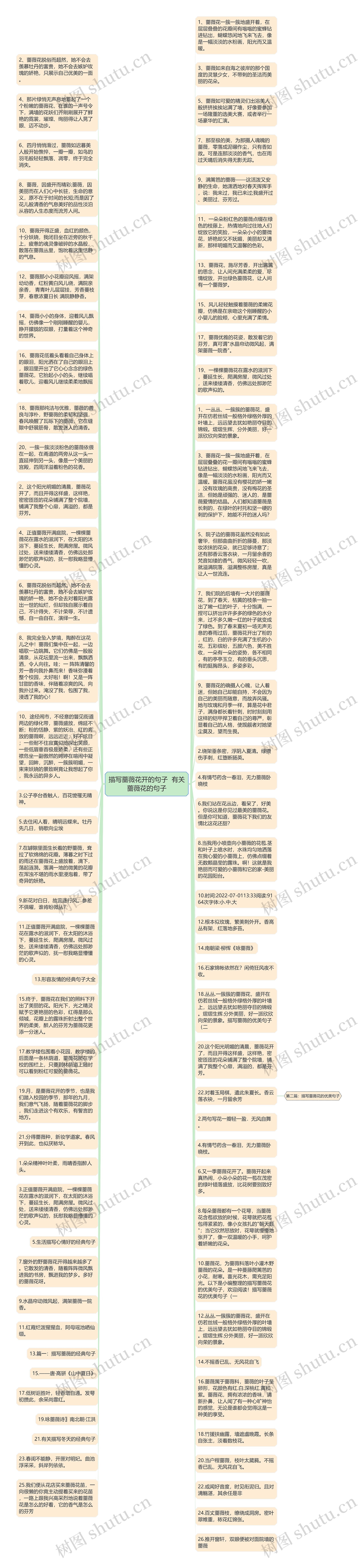 描写蔷薇花开的句子  有关蔷薇花的句子思维导图