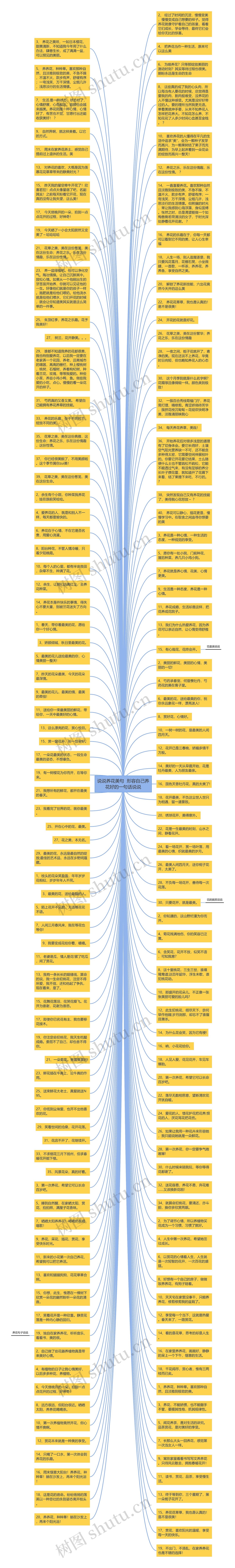 说说养花美句  形容自己养花好的一句话说说思维导图