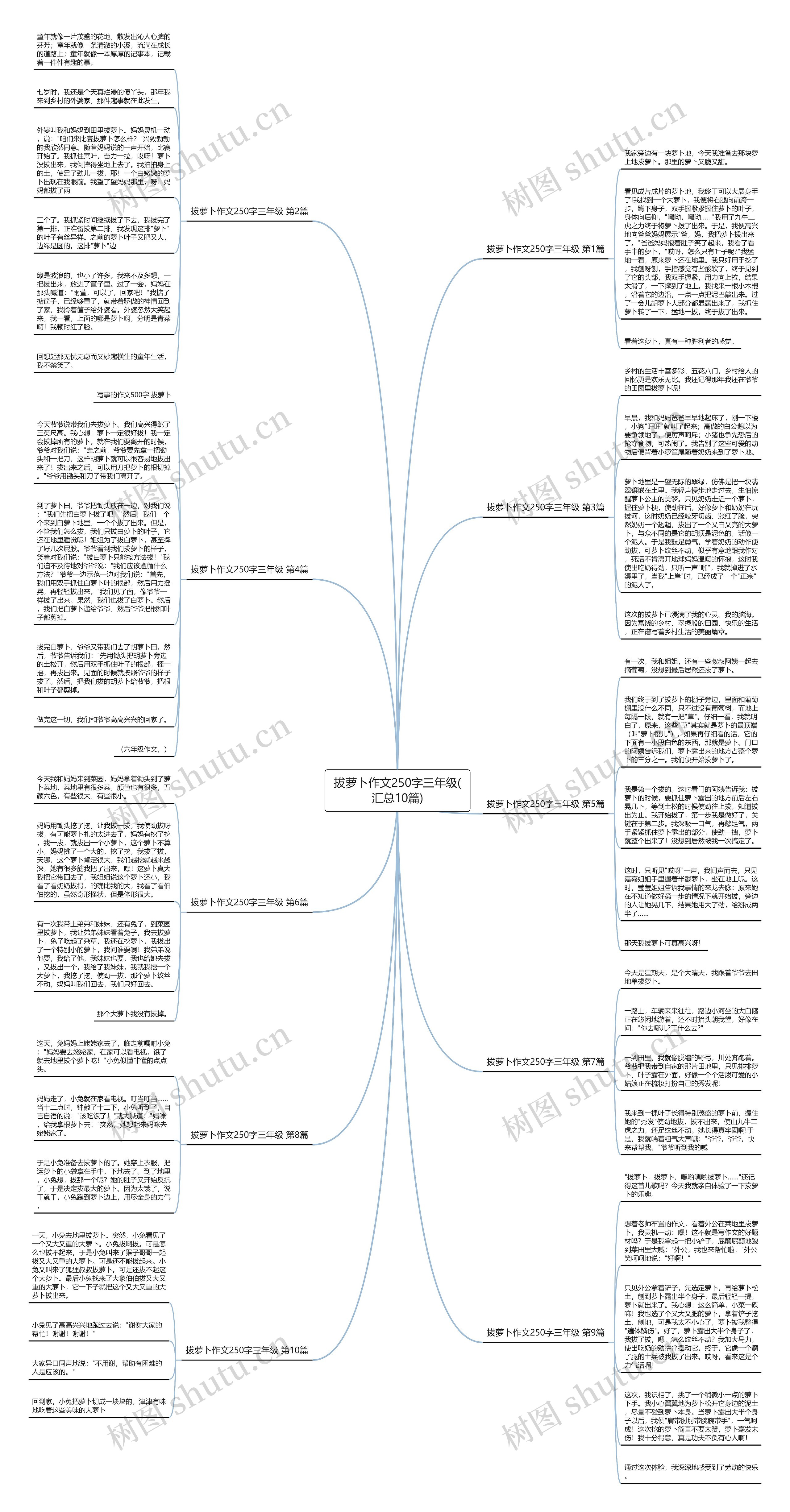 拔萝卜作文250字三年级(汇总10篇)思维导图
