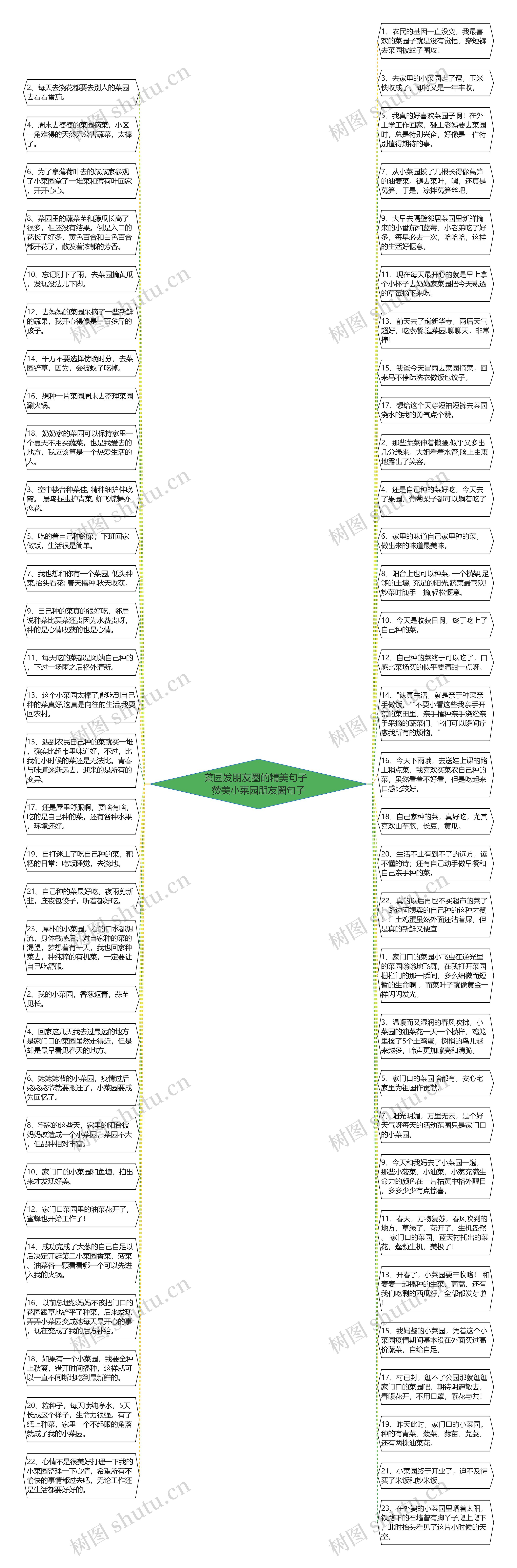 菜园发朋友圈的精美句子  赞美小菜园朋友圈句子