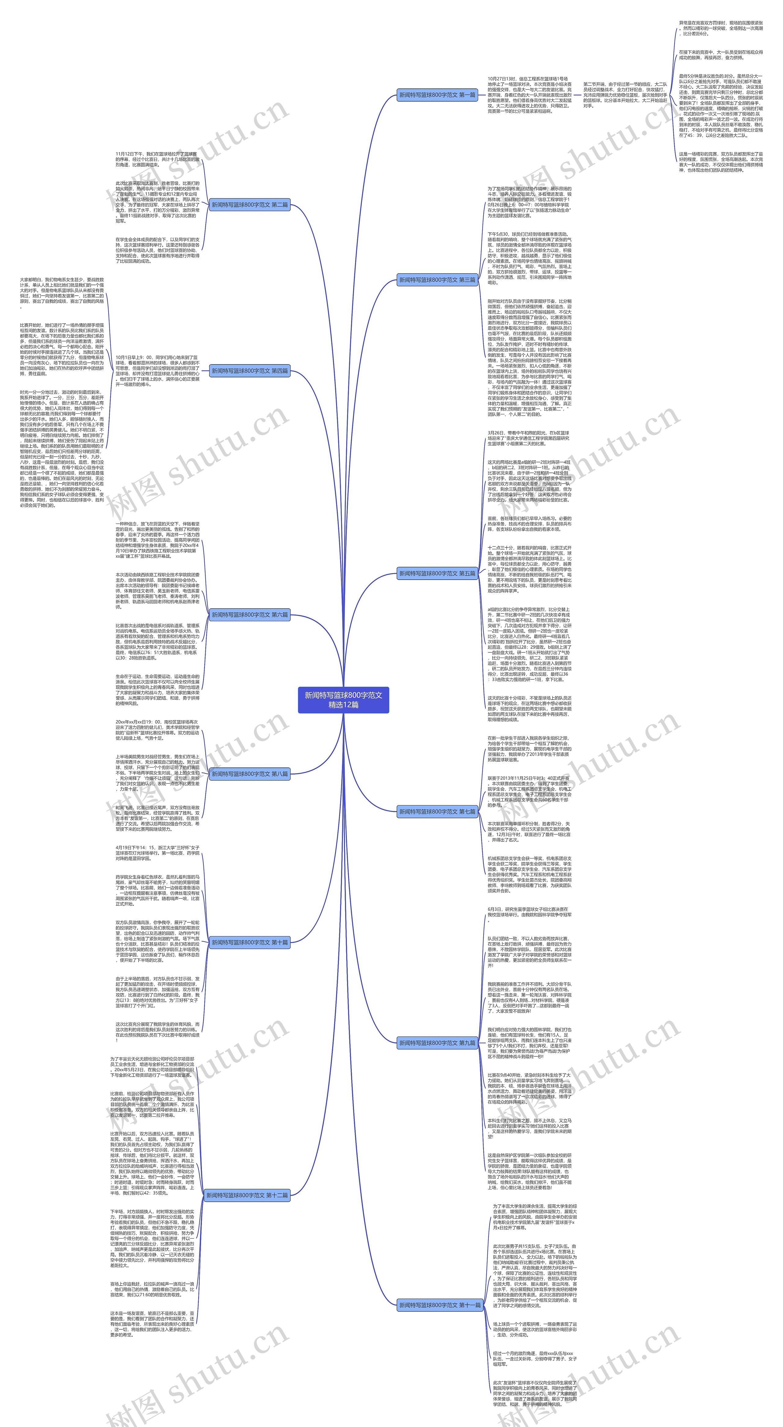 新闻特写篮球800字范文精选12篇思维导图