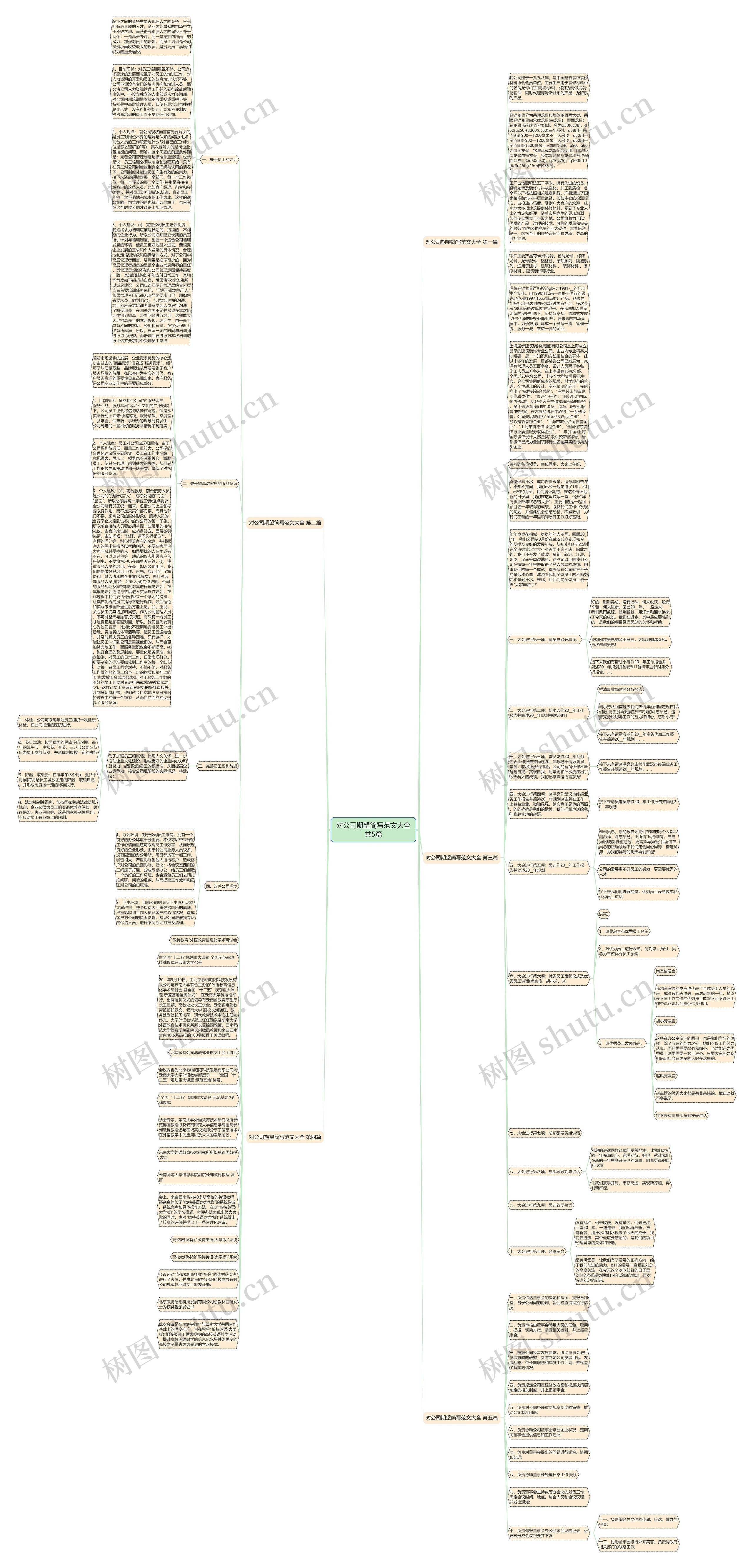 对公司期望简写范文大全共5篇思维导图