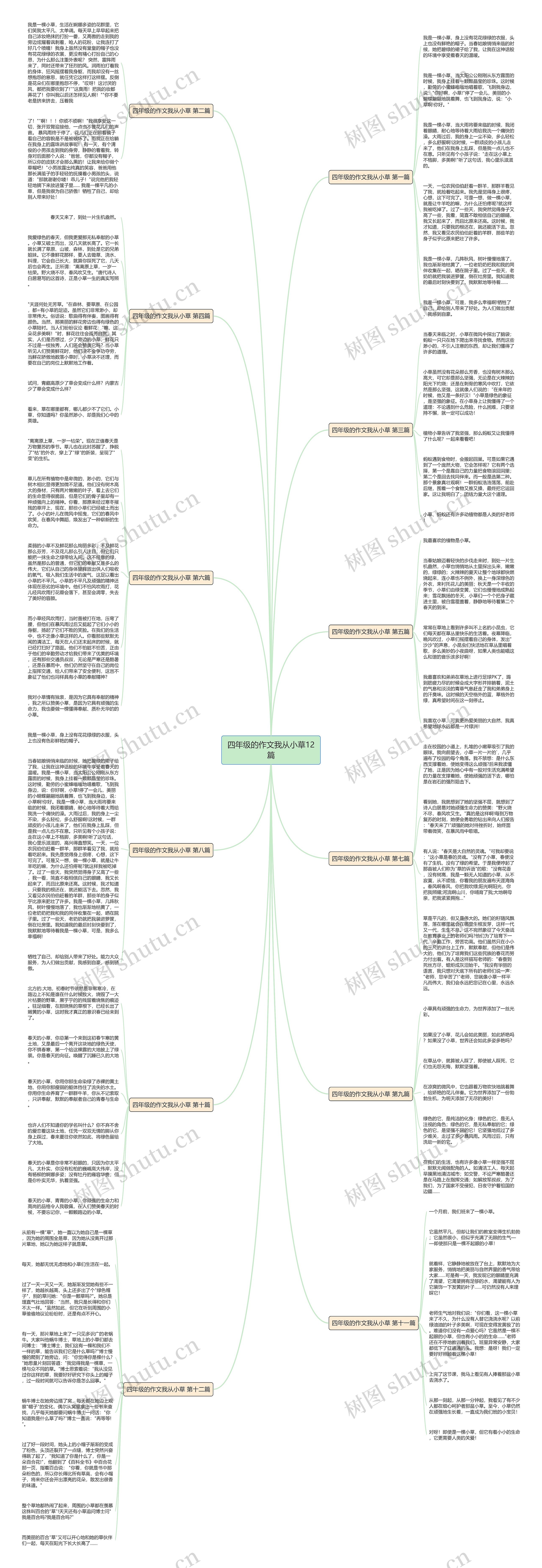 四年级的作文我从小草12篇思维导图